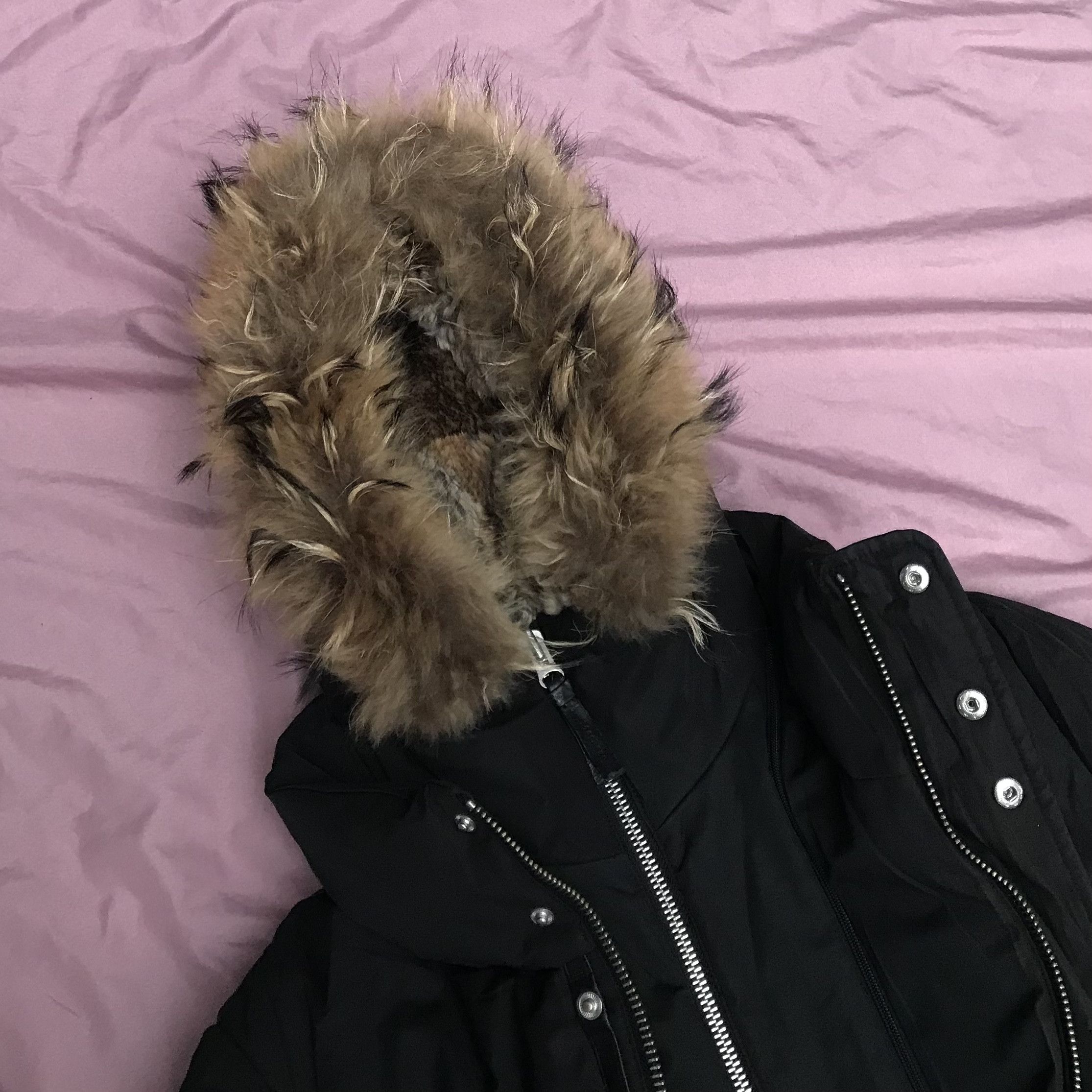 Mackage MACKAGE GOOSE DOWN FILLED, RABBIT & RACOON FUR HOOD BOMBER Size US S / EU 44-46 / 1 - 2 Thumbnail