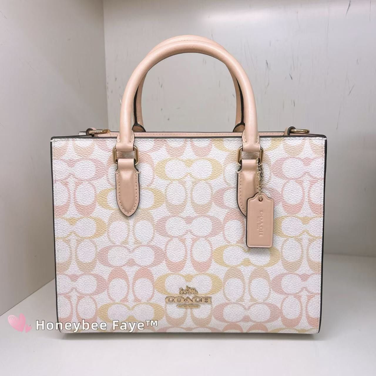 Maggie Small Tote Bag In Pretty Signature Canvas CDZ08