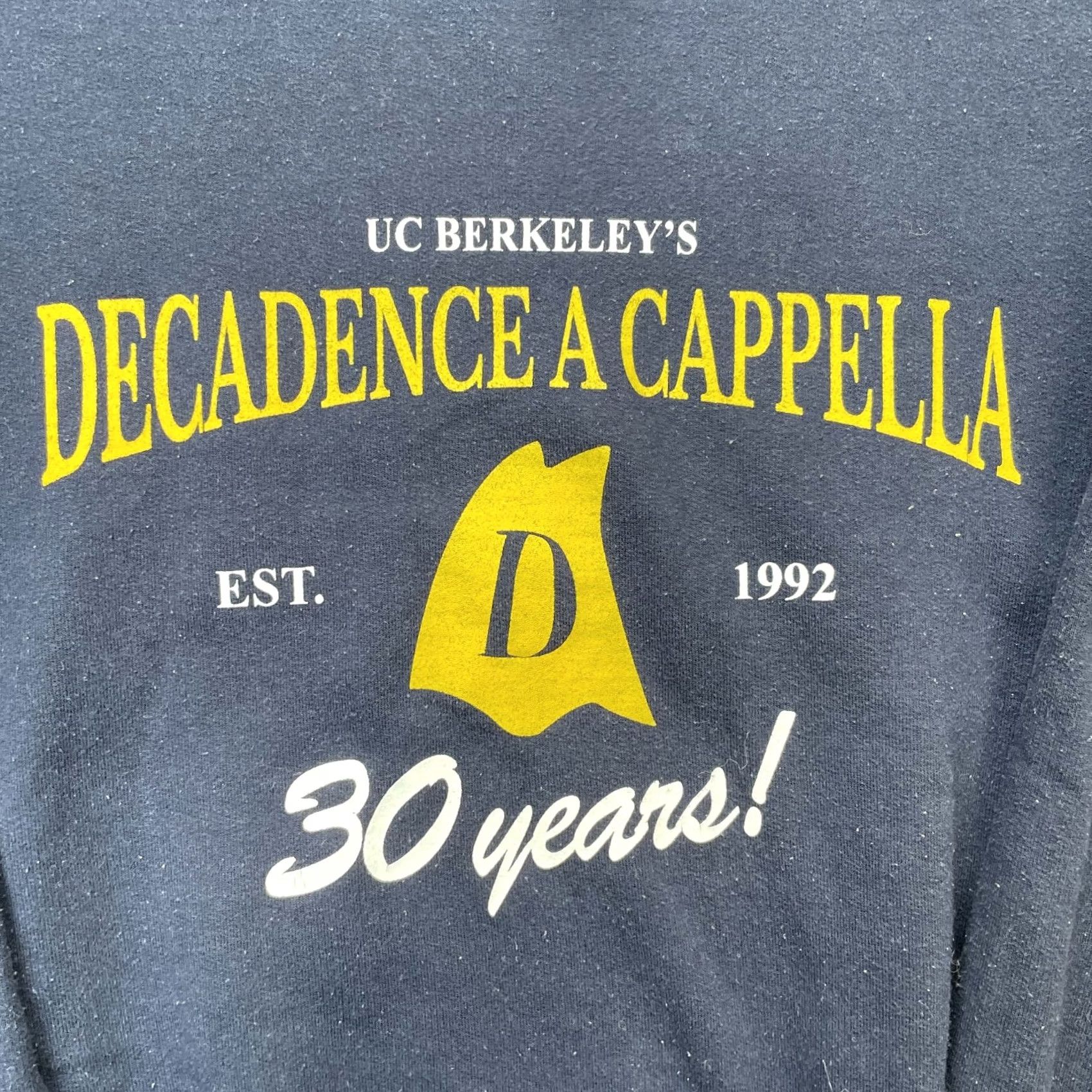 Gildan VINTAGE Gildan Men Sweatshirt CAL UC Berkeley Blue Decadence A Cappella Logo Graphic Print Crew Neck Long Sleeve Cotton Polyester Lined Fleece Size US M / EU 48-50 / 2 - 3 Thumbnail