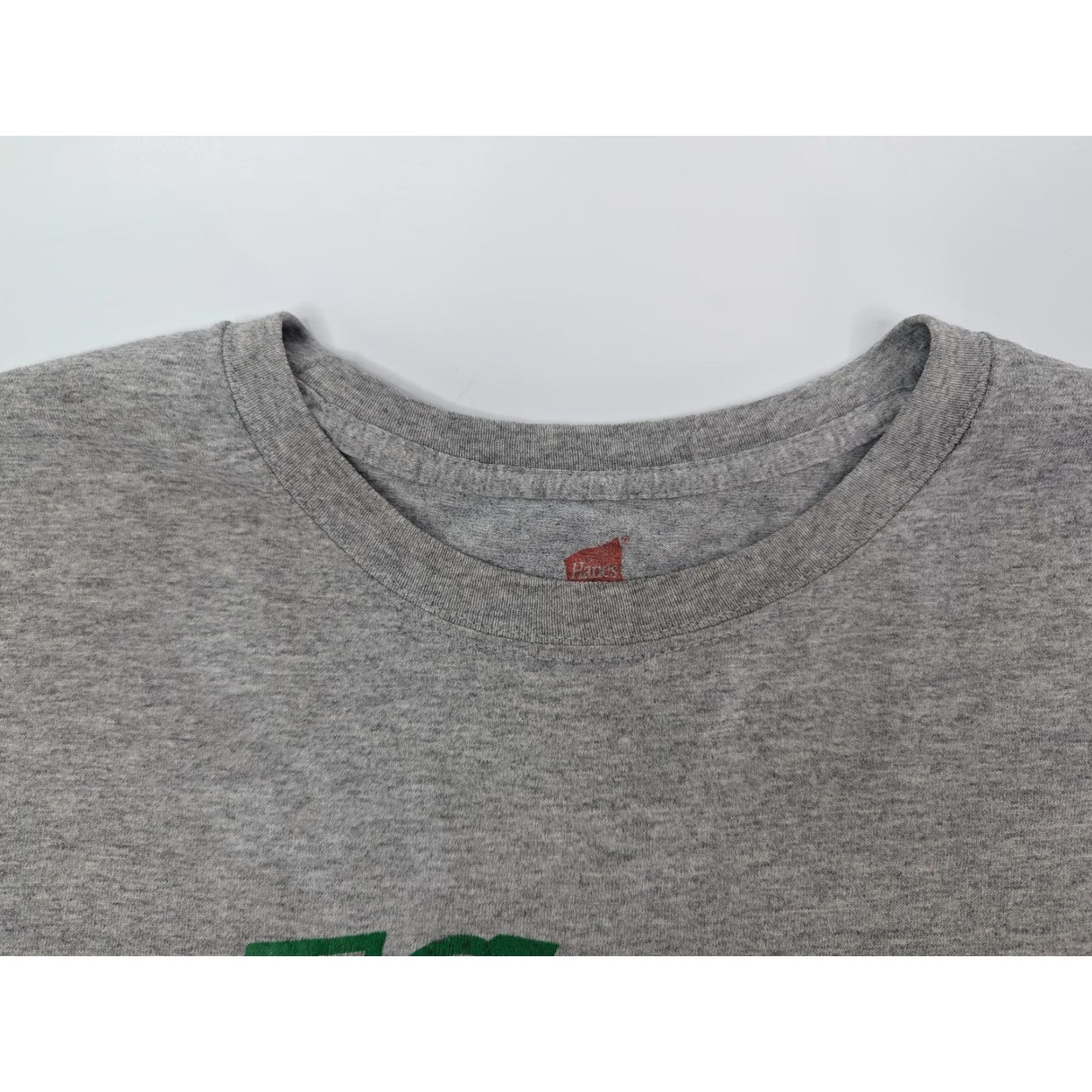 Hanes Hanes T-Shirt Unisex Adults Short Sleeve Gray Size L El Golfo De Santa Clara Sonora Mexico Vintage Size US L / EU 52-54 / 3 - 7 Thumbnail