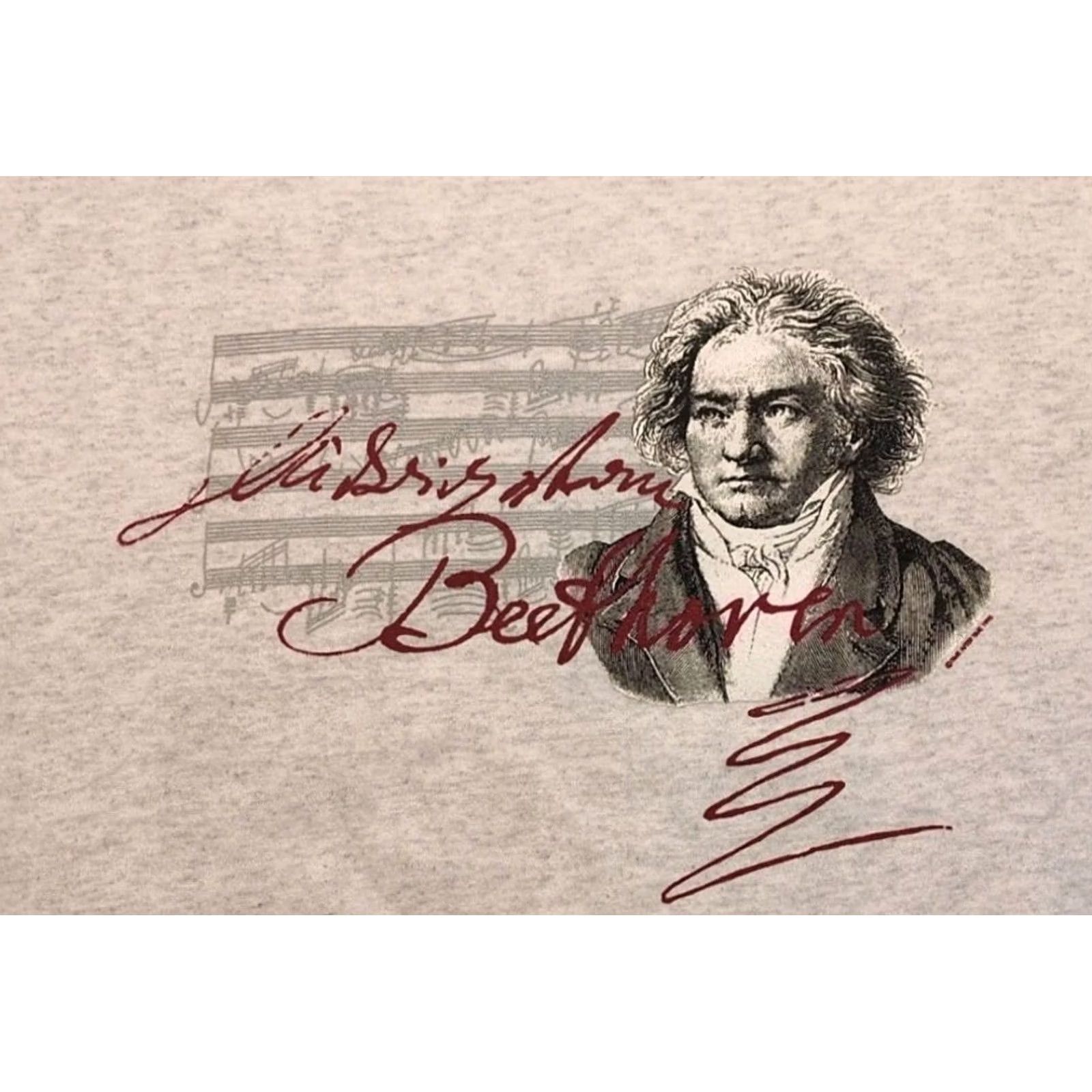Lee VINTAGE Lee Beethoven Mozart Sweatshirt 1995 Crewneck XL Gray 90s Art Music Mens Size US XL / EU 56 / 4 - 2 Thumbnail