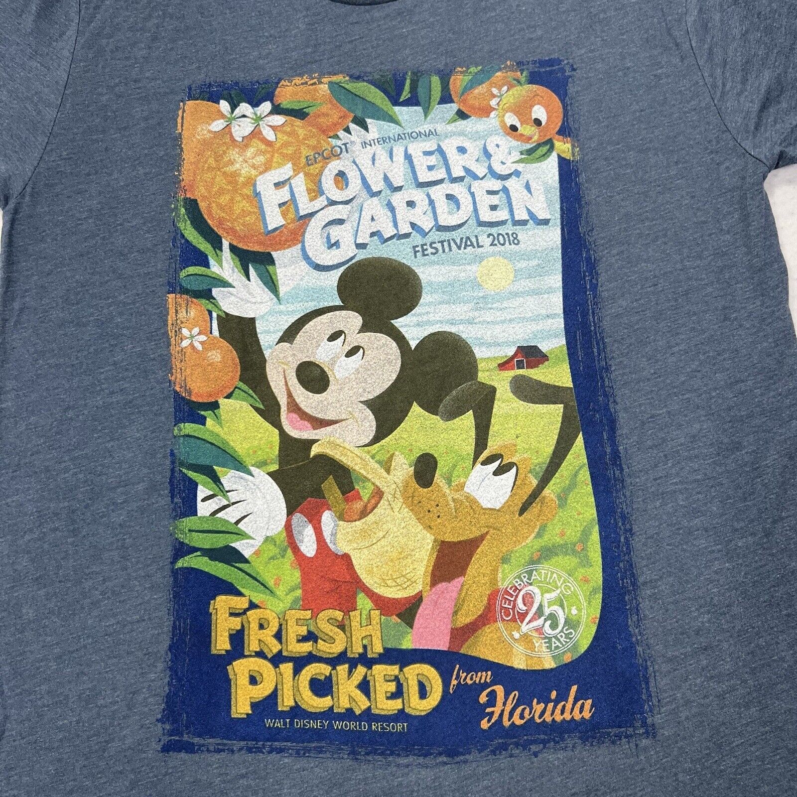 Disney Disney Parks Epcot 25th Flower Garden Festival Graphic Tee Size US L / EU 52-54 / 3 - 4 Thumbnail