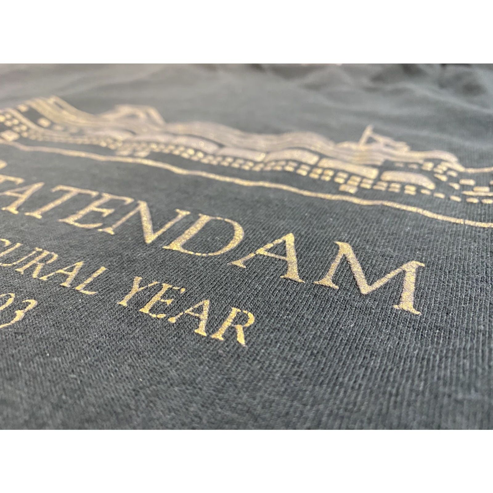 Fruit Of The Loom VINTAGE Statendam Inaugural Year 1993 Unisex Adult T-Shirt Crew Neck Short Sleeve 100% Pre-Shrunk Cotton Made in USA Fruit of the Loom Black L Size US L / EU 52-54 / 3 - 6 Thumbnail
