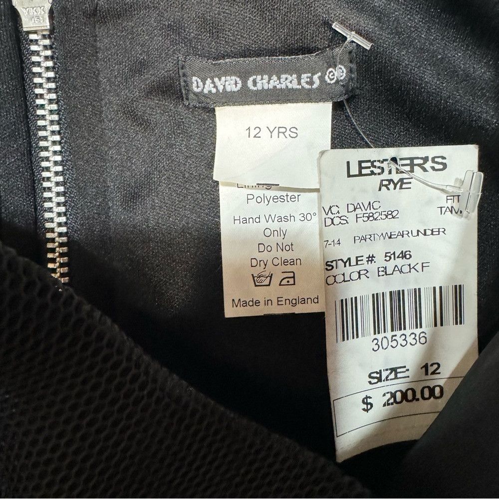Other NWT New $200 David Charles Perforated Scuba Circle Skirt Dr Size XS / US 0-2 / IT 36-38 - 9 Thumbnail