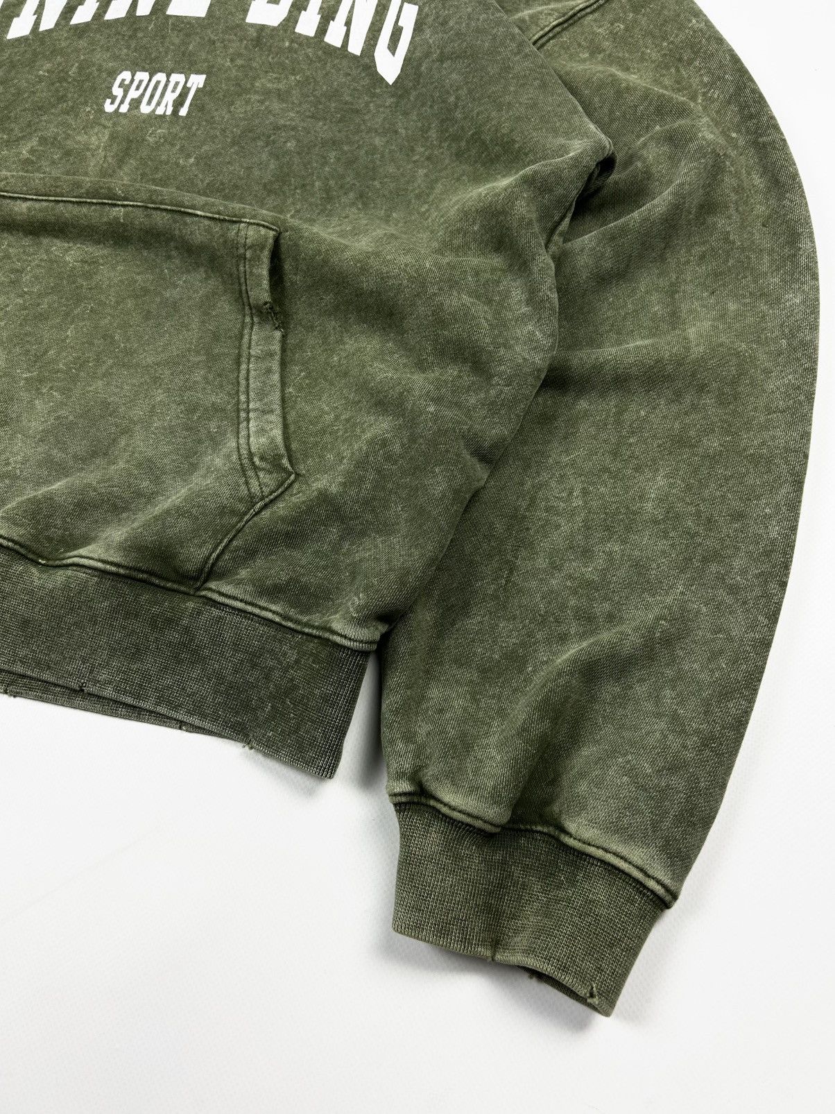 Anine Bing Anine Bing Faded Hoodie Y2k Size L / US 10 / IT 46 - 5 Thumbnail