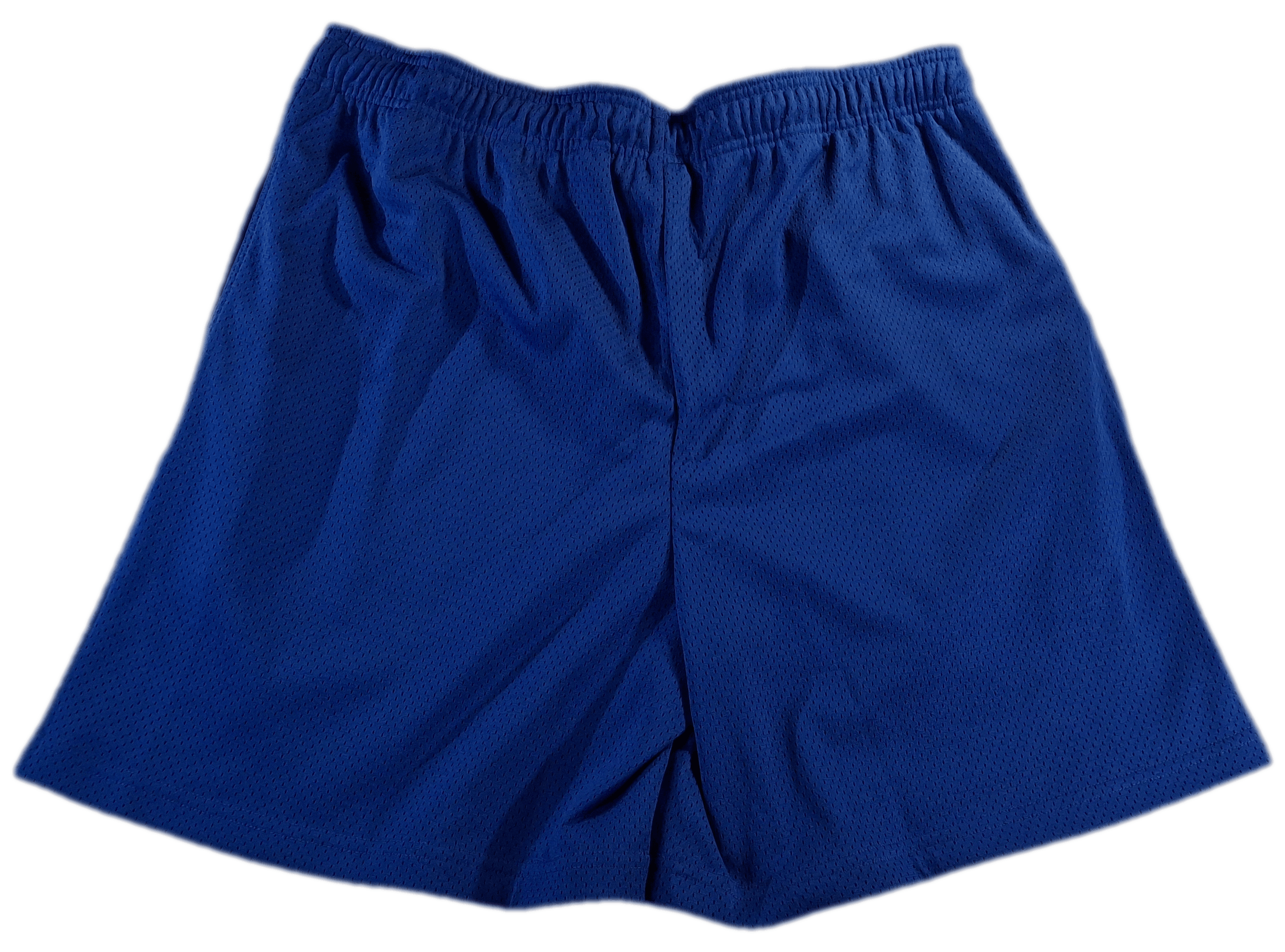 HIDDEN Hidden NY Mesh Shorts - Royal Blue - Size M Size US 33 - 3 Thumbnail