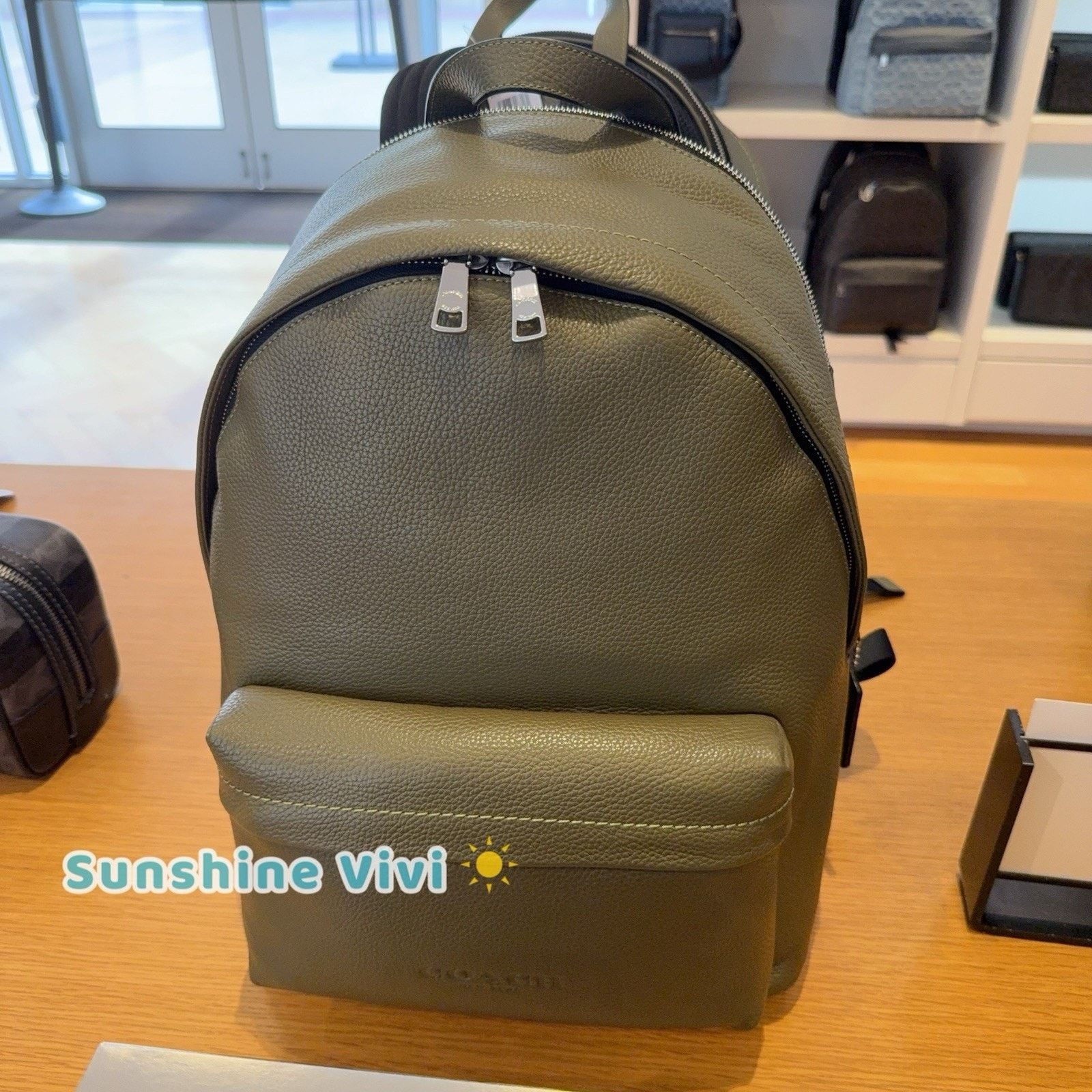 Coach NWT Coach Taylor Backpack Pebble Leather CDX93 Olive Silver Size ONE SIZE - 1 Thumbnail