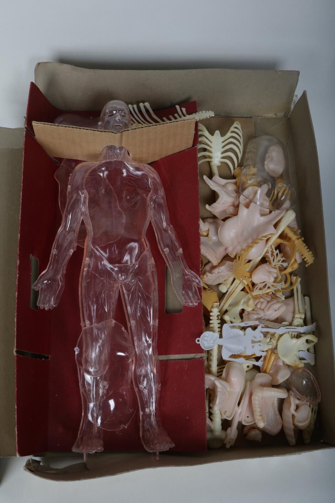 Urban Renewal 60's Renwal The Invisible Man Anatomy Model Kit Size ONE SIZE - 6 Thumbnail