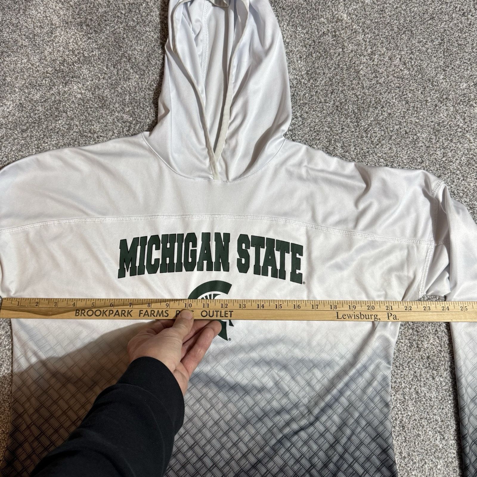 Colosseum Athletics Colosseum Michigan State Spartans Hoodie Womens L Gorpcore Size L / US 10 / IT 46 - 3 Thumbnail