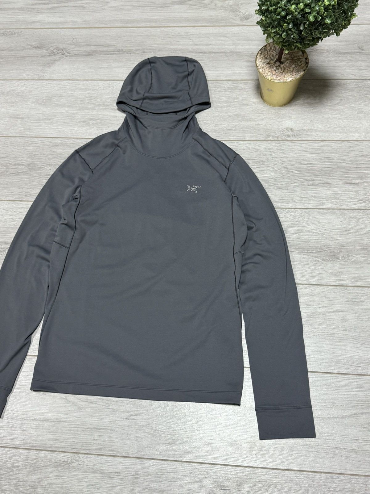 Arc'teryx Arcteryx motus ar hoodie bird ninja Size US M / EU 48-50 / 2 - 3 Thumbnail