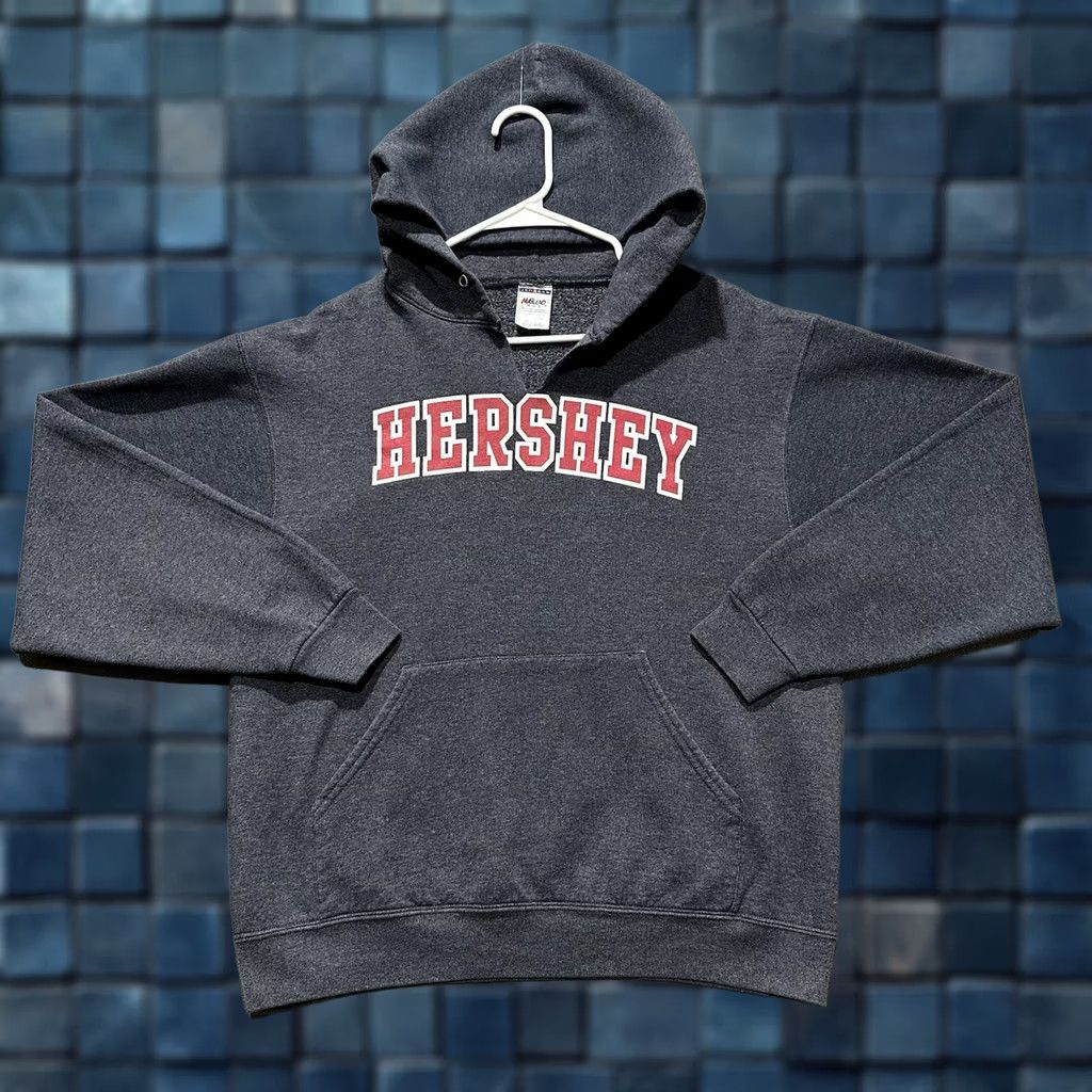 Jerzees Hershey Hoodie Mens Medium Blue/Gray Pullover Sweatshirt Jerzees Nublend GUC Size US M / EU 48-50 / 2 - 1 Thumbnail