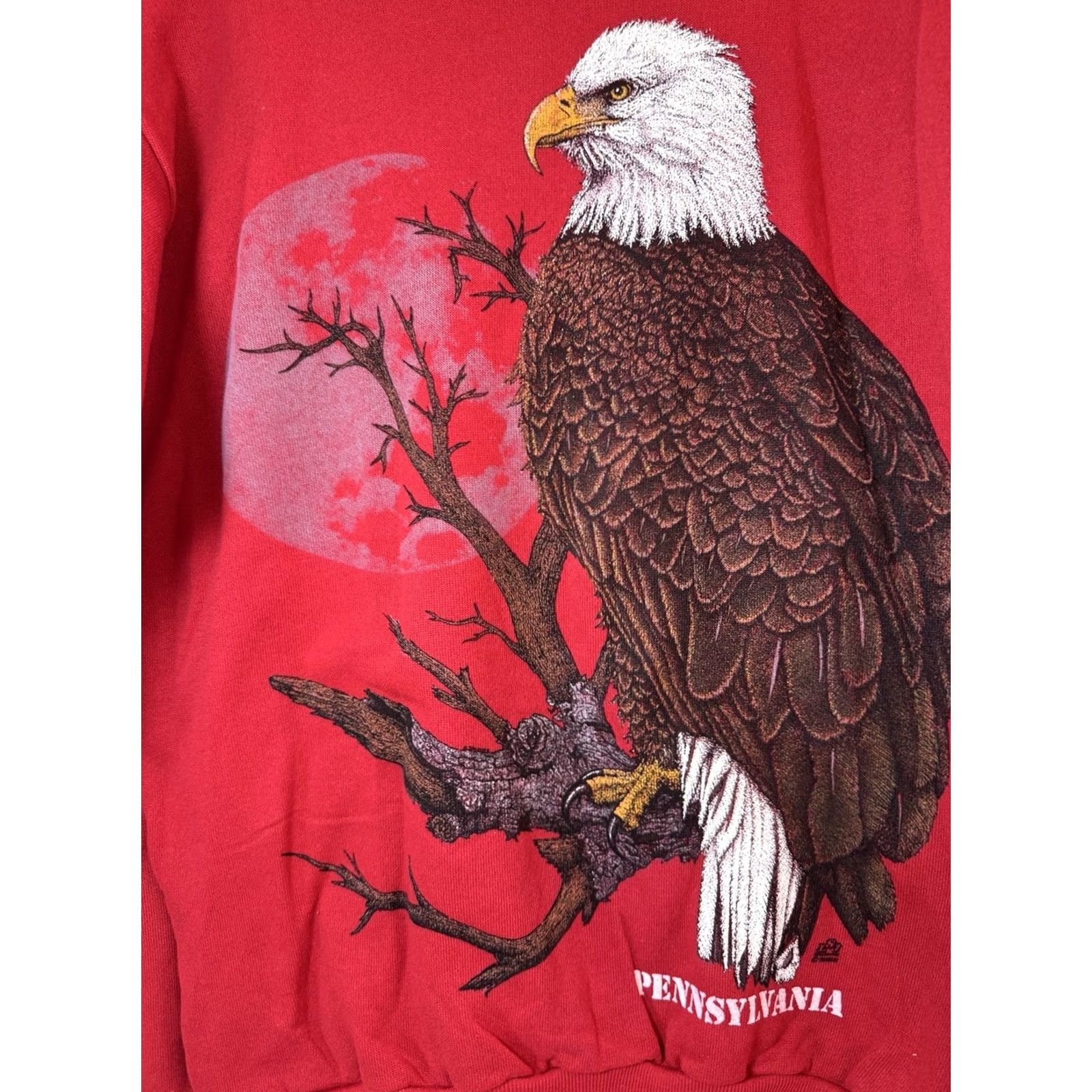 Tultex VINTAGE Tultex Eagle Nature Sweatshirt Mens Medium Pennsylvania 90s Made In USA Red Size US M / EU 48-50 / 2 - 4 Thumbnail