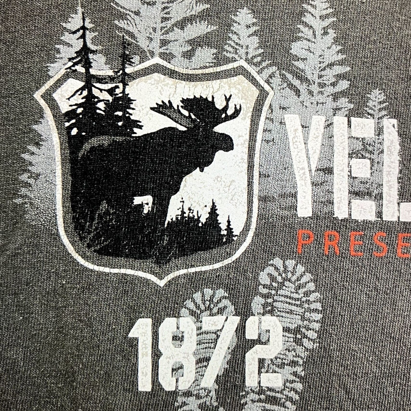 Vintage VINTAGE Prairie Mountain Nature T-Shirt Large Green Yellowstone 90s Hiking Outdoors Mens Size US L / EU 52-54 / 3 - 5 Thumbnail