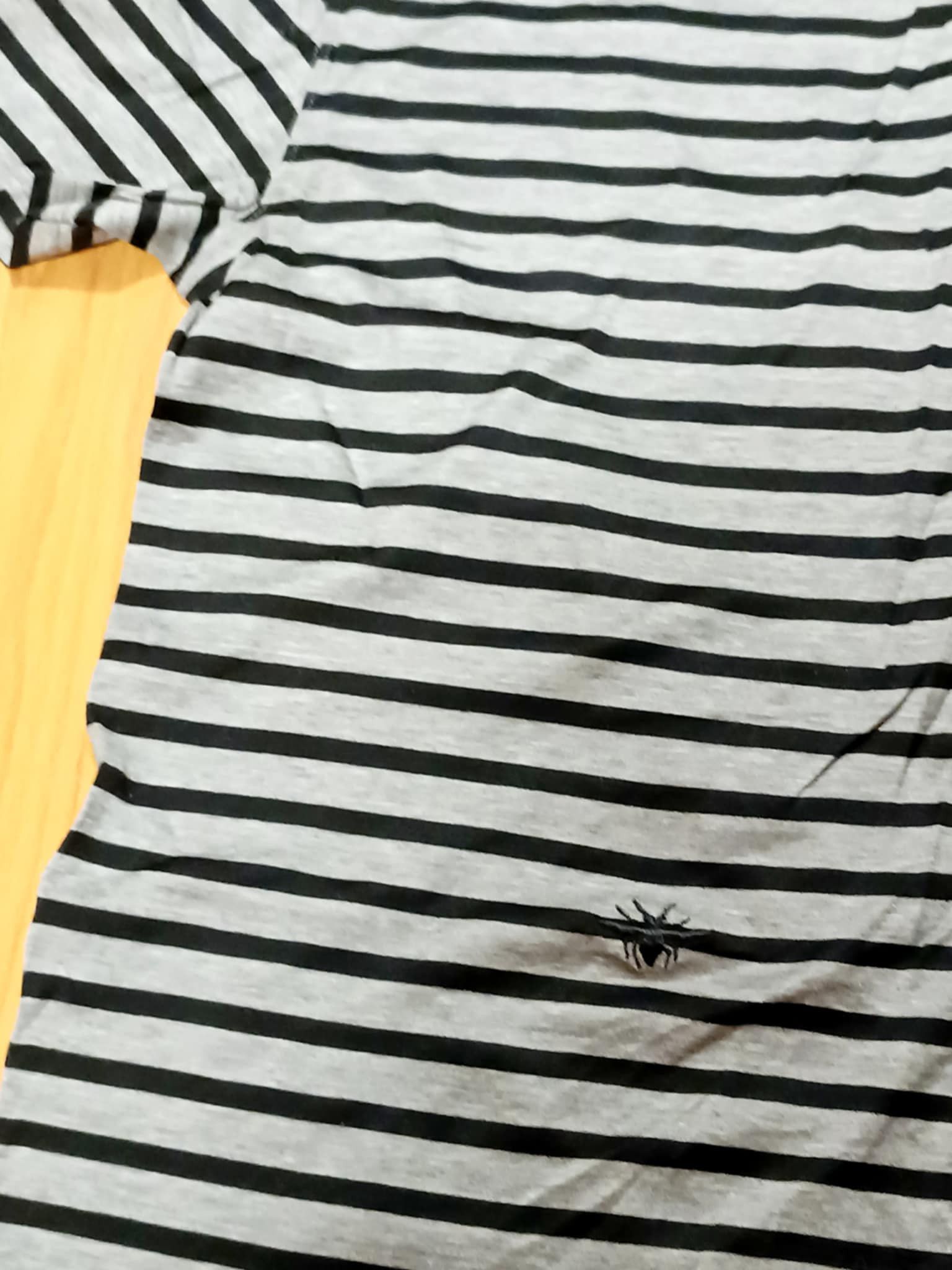 Dior Homme SS2004 Strip Bee T Shirt by Hedi Slimane, image size:1536x2048