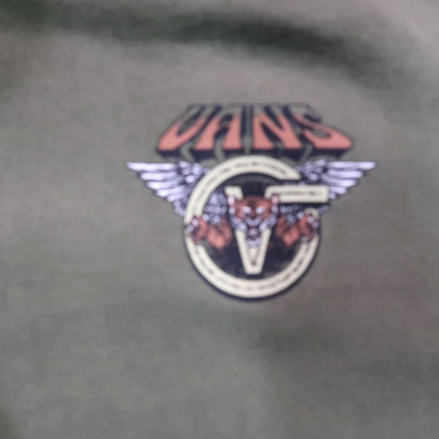 Vans Vans Hoodie Women's M Hooded Sweatshirt Logo Long Sleeve green Size M / US 6-8 / IT 42-44 - 4 Thumbnail