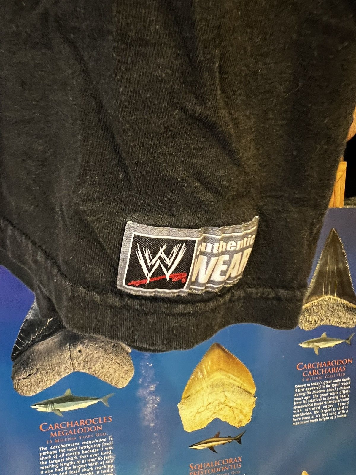 Vintage × WWE VTG WWE Evan Bourne “Bourne To Fly” Tee Size US XXL / EU 58 / 5 - 5 Thumbnail