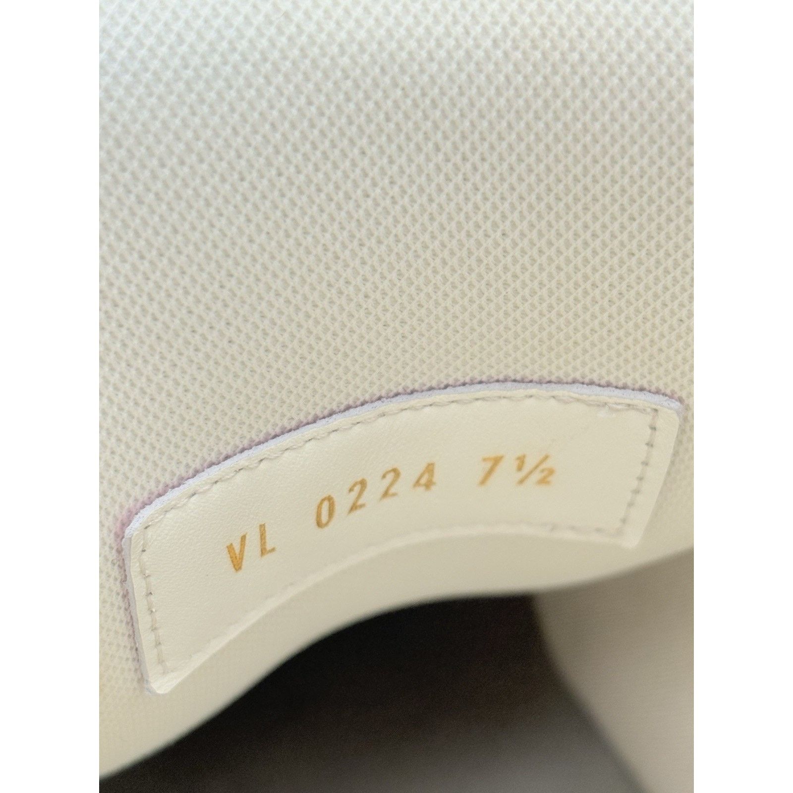 Louis Vuitton Louis Vuitton Maxi Trainer ' Beige Multicolor ' | CLEAN! Size US 9 / EU 42 - 14 Thumbnail