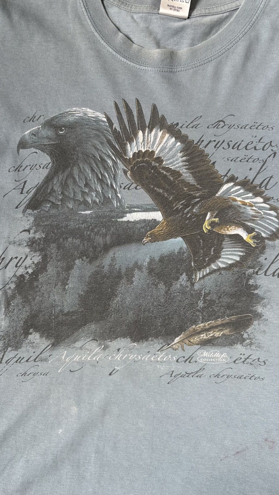 Jerzees VINTAGE WILDLIFE EAGLES TEE Size US XL / EU 56 / 4 - 2 Thumbnail