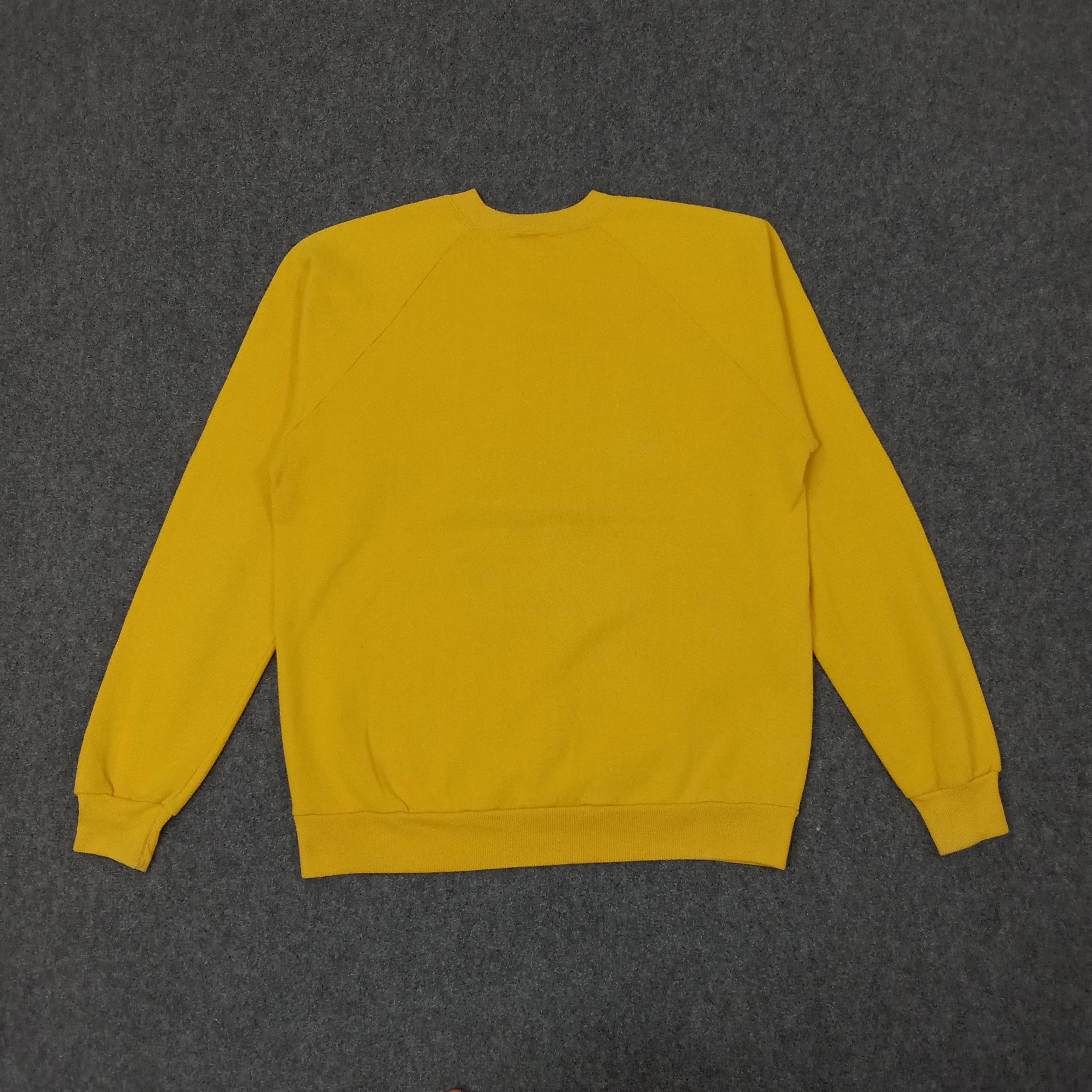Jerzees Darwin Theory of Biological Evolution Sweatshirt C241N20 Size US M / EU 48-50 / 2 - 4 Thumbnail