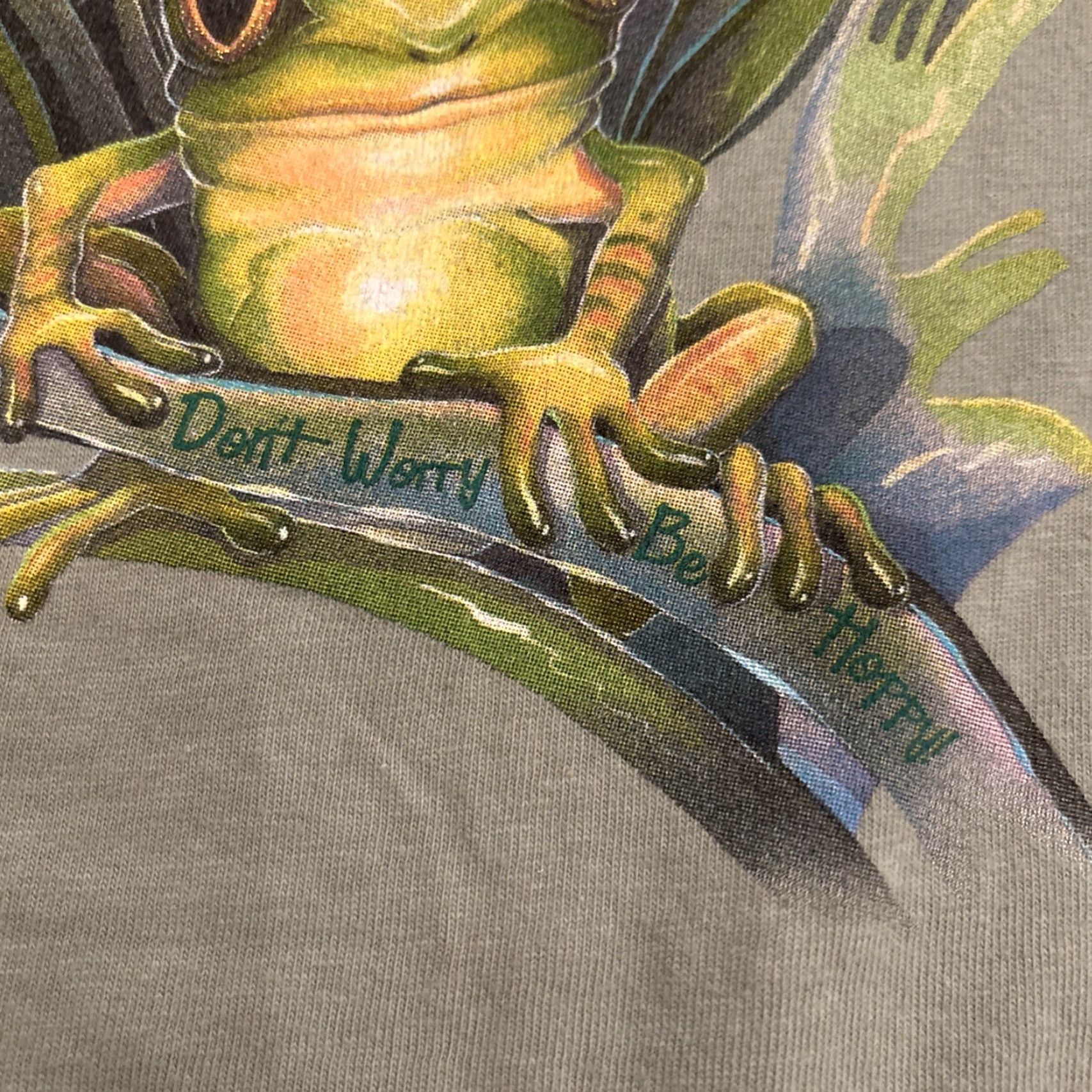 Vintage VINTAGE Hanes Beefy T Green Frog Dragonfly T-Shirt XL Coupeville WA Whidbey Island Unisex Adults Size US XL / EU 56 / 4 - 3 Thumbnail