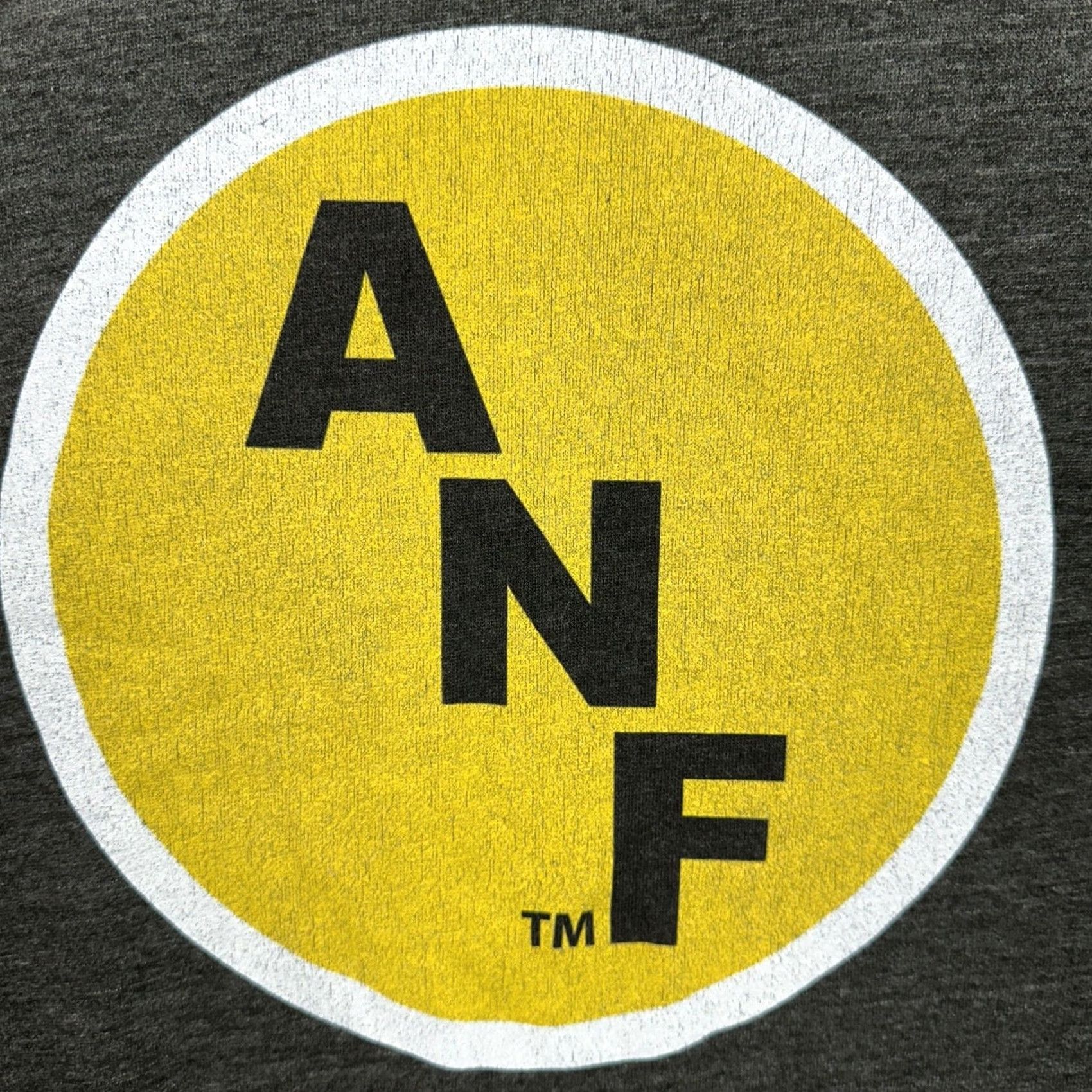 Vintage Iowa Hawkeyes ANF Sweatshirt Mens Large Dark Gray Pullover Long Sleeve Size US L / EU 52-54 / 3 - 6 Thumbnail