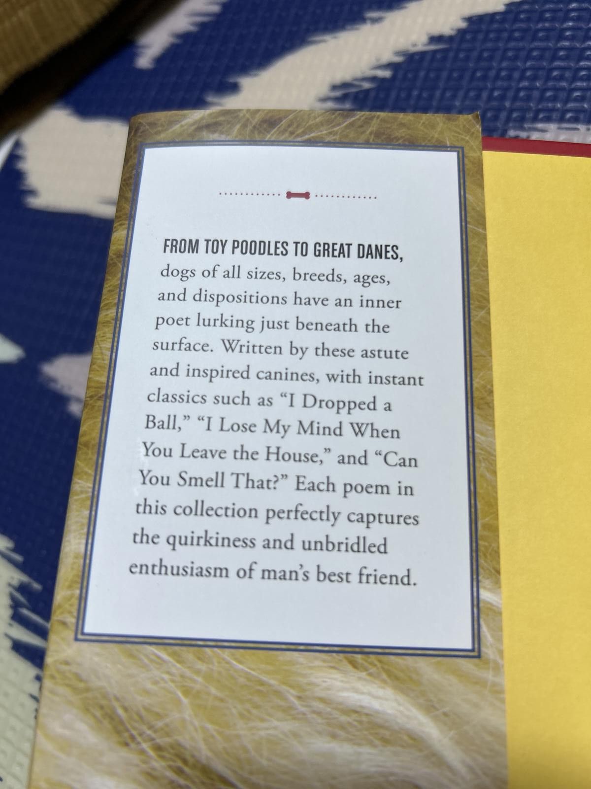 Designer “I Could Chew on This” Poems by Dogs-Loving Kindness Evrydy Size ONE SIZE - 7 Thumbnail