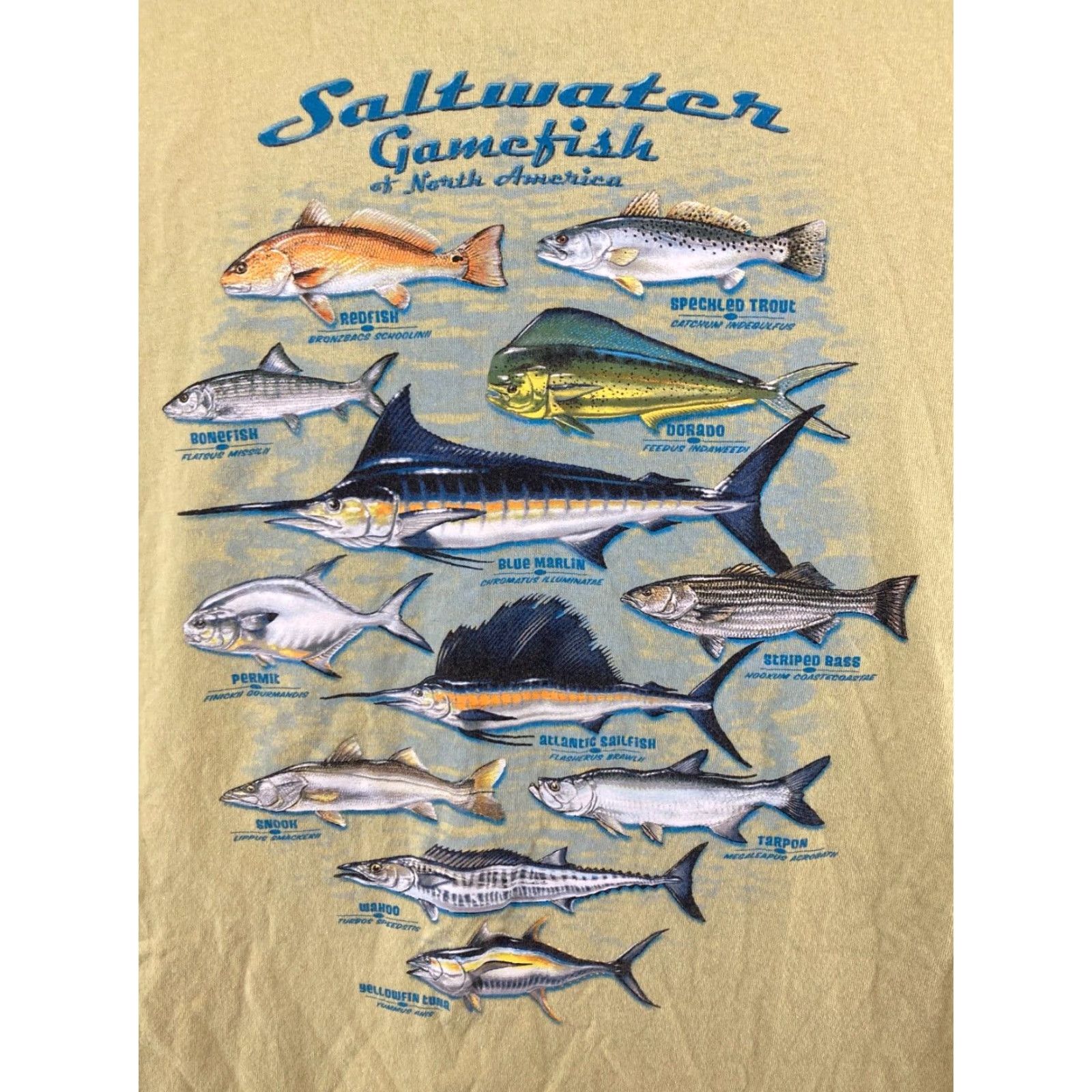 Vintage Columbia Mens T-Shirt Large Yellow Saltwater Gamefish Fishing Size US L / EU 52-54 / 3 - 2 Thumbnail