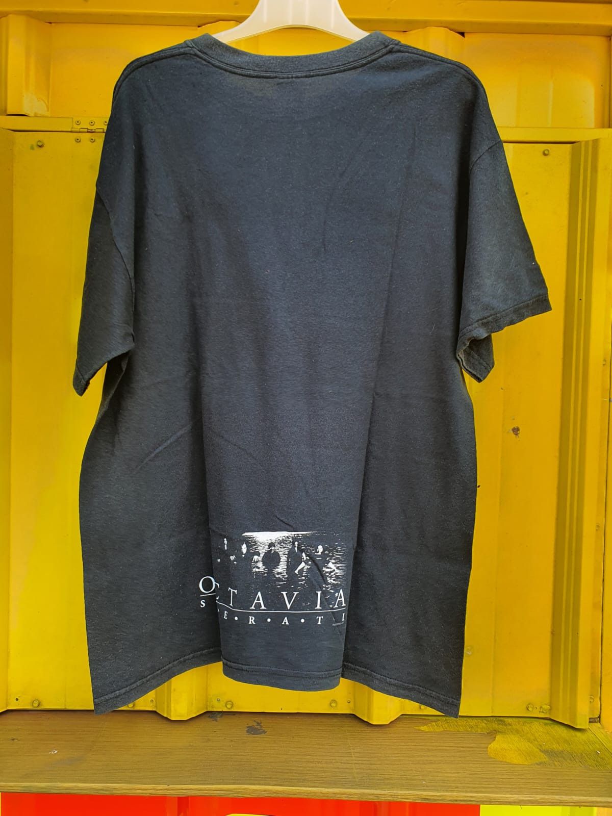 Band Tees 🌹Octavia sperati 🌹 Size US L / EU 52-54 / 3 - 4 Thumbnail
