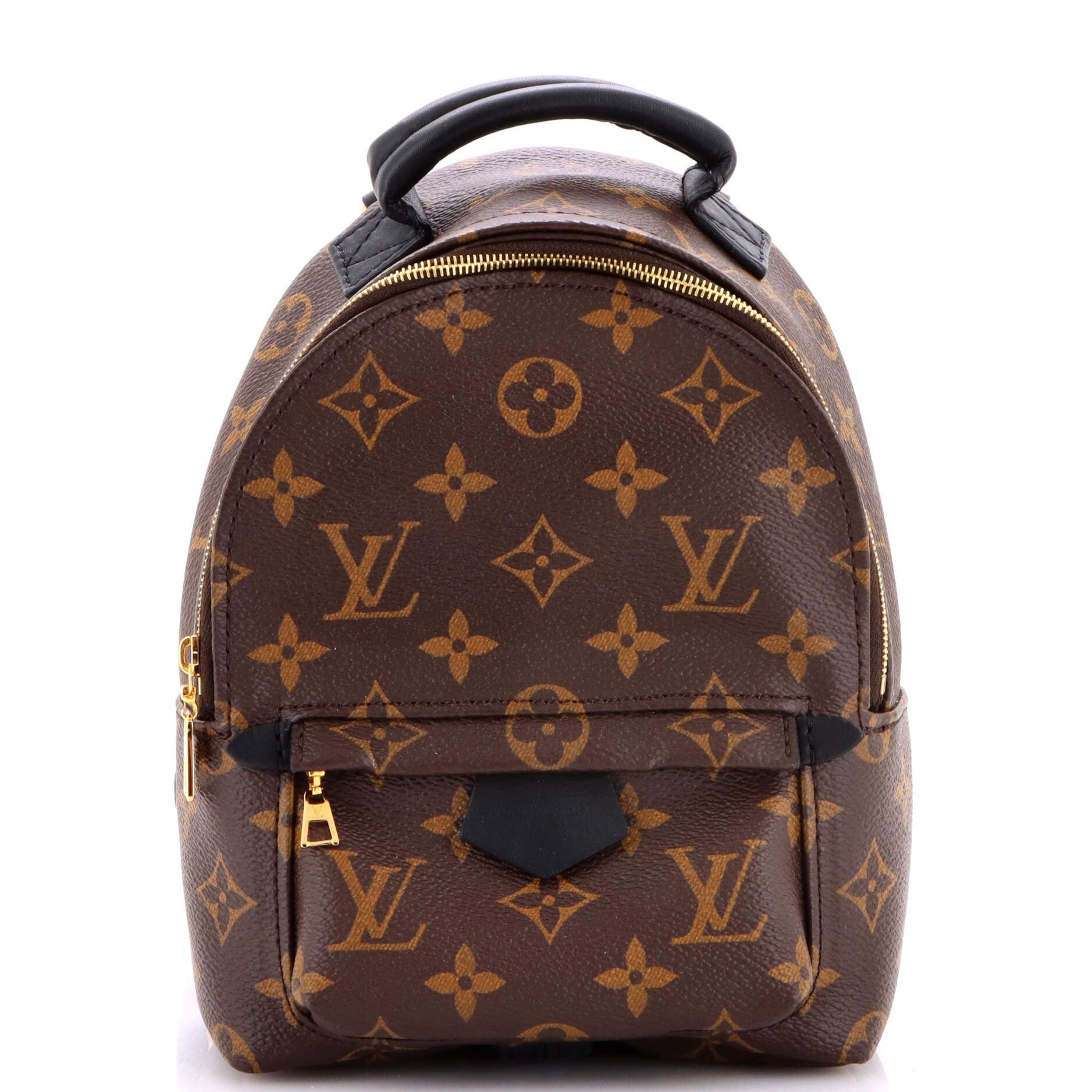Louis Vuitton Palm Springs Backpack Size ONE SIZE - 1 Thumbnail