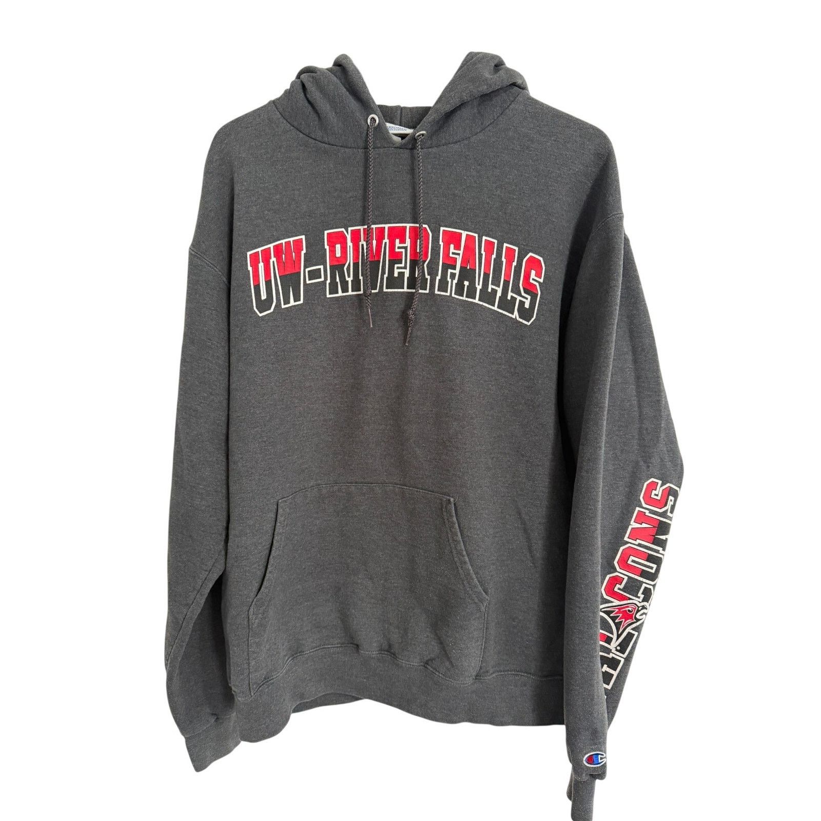 Champion UW River Falls Falcons Champion Hoodie Size Large Size US L / EU 52-54 / 3 - 1 Thumbnail