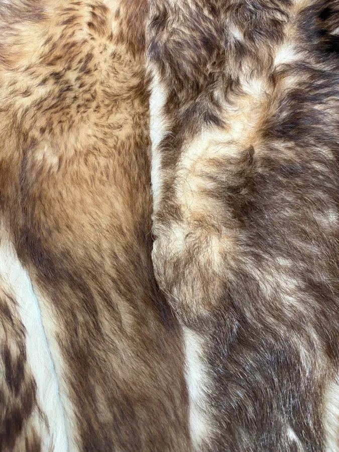 Roberto Cavalli 2000s Roberto Cavalli Ornament Fur Sherling Beige Jacket Size US S / EU 44-46 / 1 - 10 Thumbnail