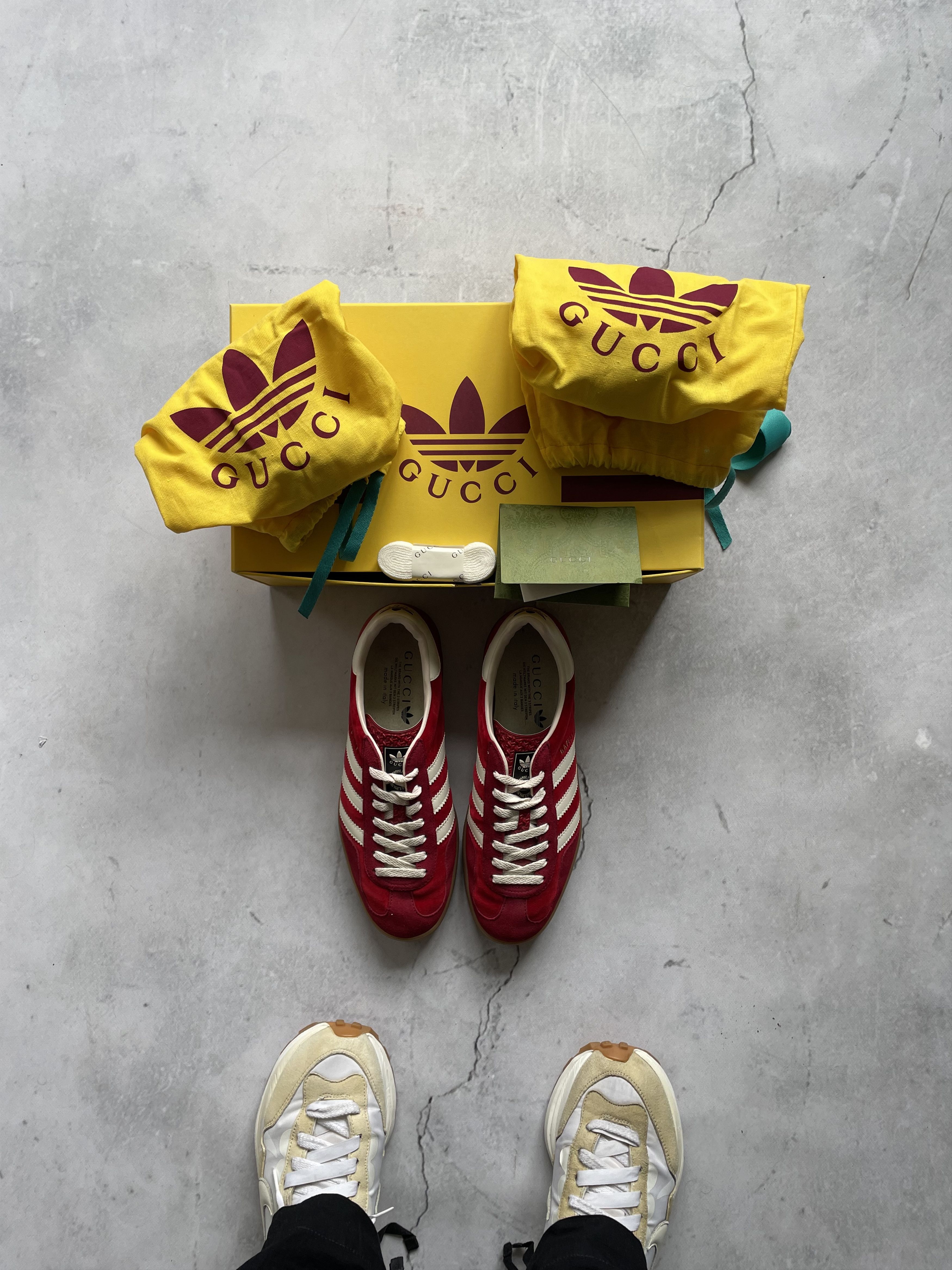 Adidas  Gucci Gucci x Adidas Gazelle | Grailed