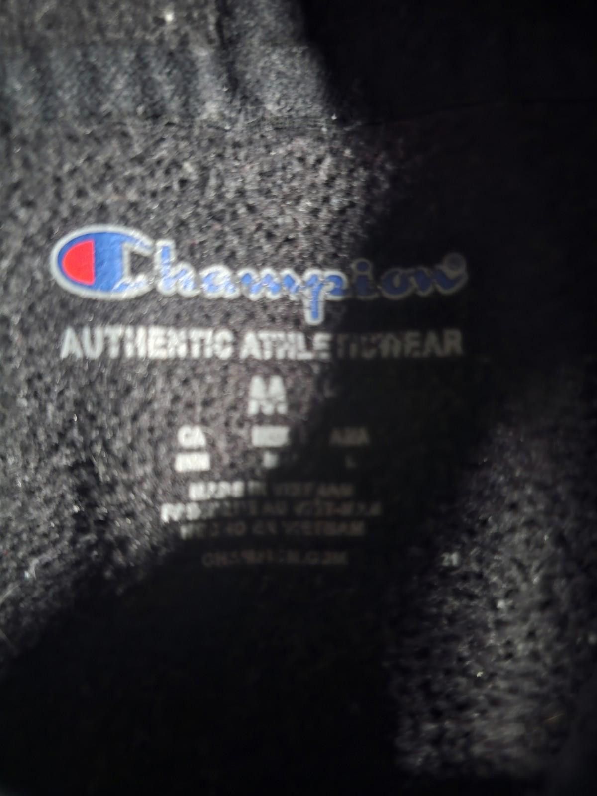 Champion Champion Medium Black Hoodie Size US M / EU 48-50 / 2 - 3 Thumbnail
