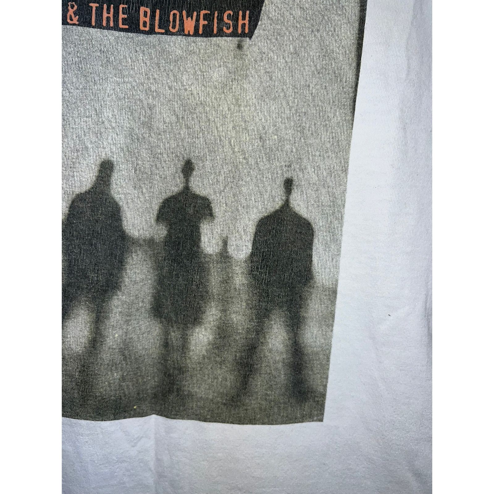 All Sport Vintage Hootie and The Blowfish Shirt Cracked Rear View S Size US S / EU 44-46 / 1 - 5 Thumbnail