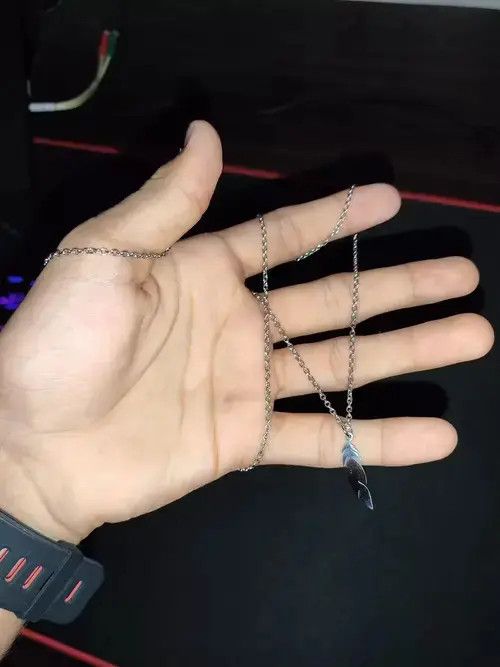 Jewelry Last drop!!Simple Long Chain Feather pendant Necklace Size ONE SIZE - 3 Thumbnail