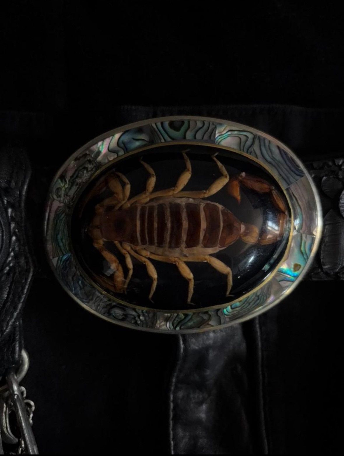 scorpion belt buckle lgb Ifsixwasnine