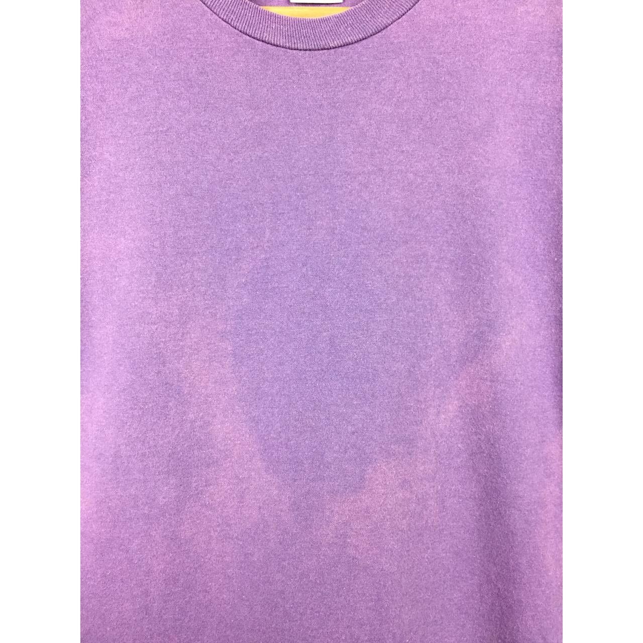 Edwin × Japanese Brand × Vintage Edwin Sportswear Made In Usa Snow Lion Graphic Tee Size US L / EU 52-54 / 3 - 4 Thumbnail
