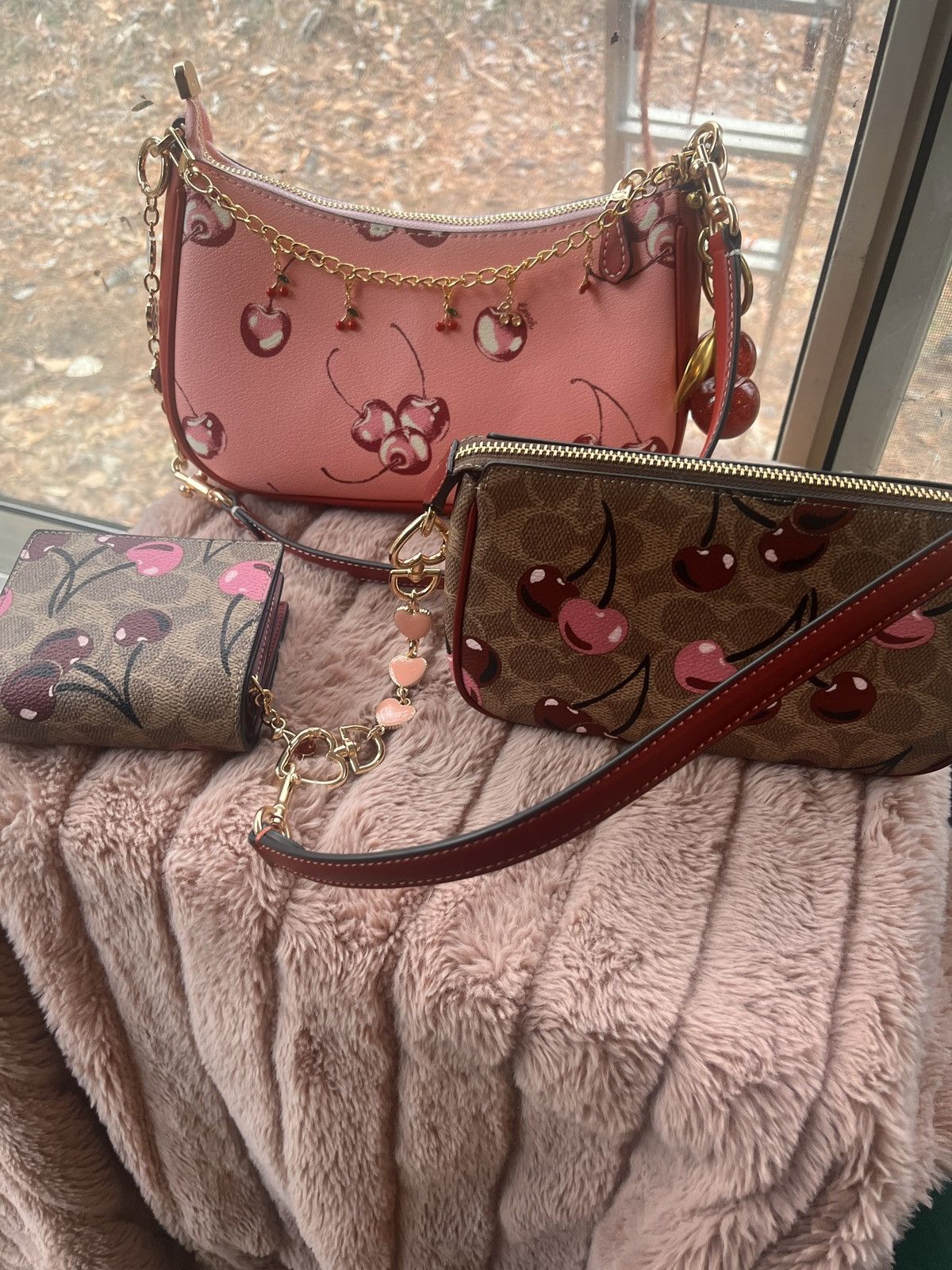 Coach Summer Fruit Collection Teri Bag, Nolita 19 & Wallet Size ONE SIZE - 2 Thumbnail