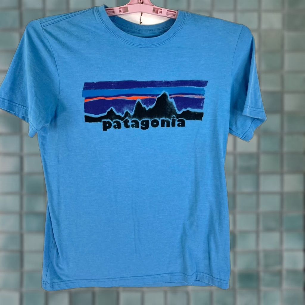 Patagonia Patagonia T Shirt M Mens Blue Graphic Tee Organic Cotton/ Poly Shirt Adult Medium Blue Graphic Print Patagonia Logo Nature Outdoor Mens Size US M / EU 48-50 / 2 - 1 Thumbnail