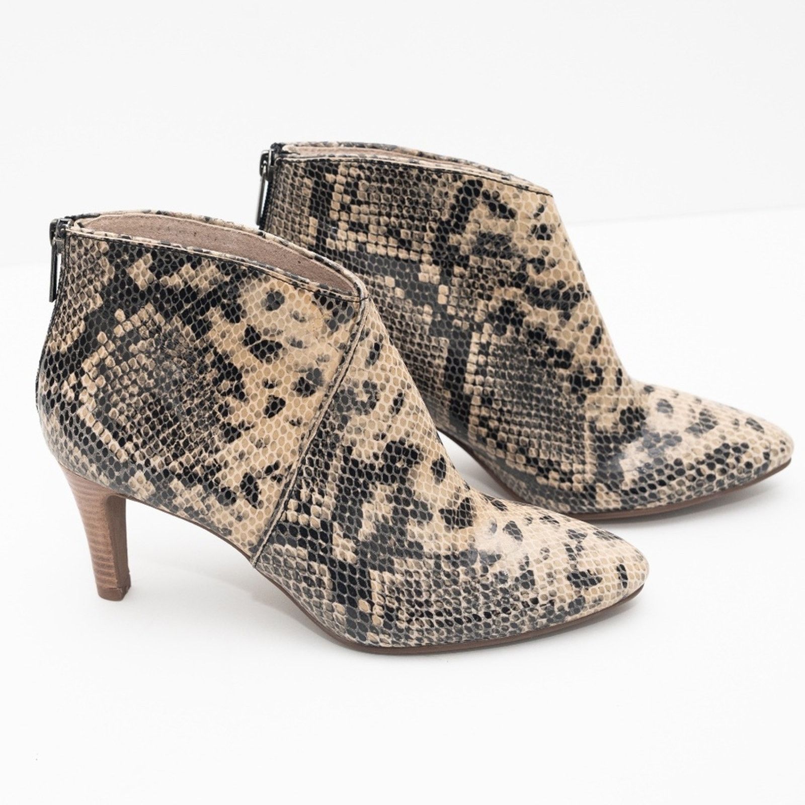 Seychelles Seychelles. New! Snake Heeled Ankle Boots. Size US 7 / IT 37 - 2 Thumbnail