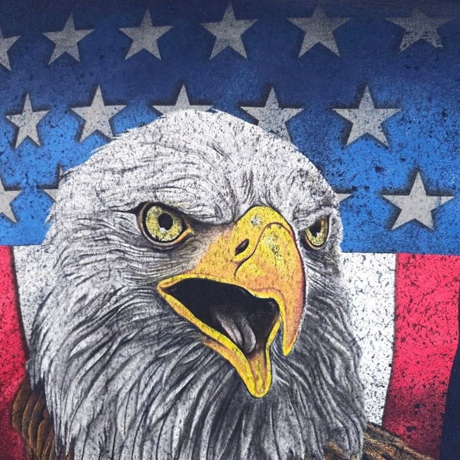 Fruit Of The Loom VINTAGE American Flag T Shirt Mens 2XL Blue Bald Eagle USA Patriotic Shirt Mens Blue 2XL USA Flag Patriotic Shirt Size US XXL / EU 58 / 5 - 3 Thumbnail