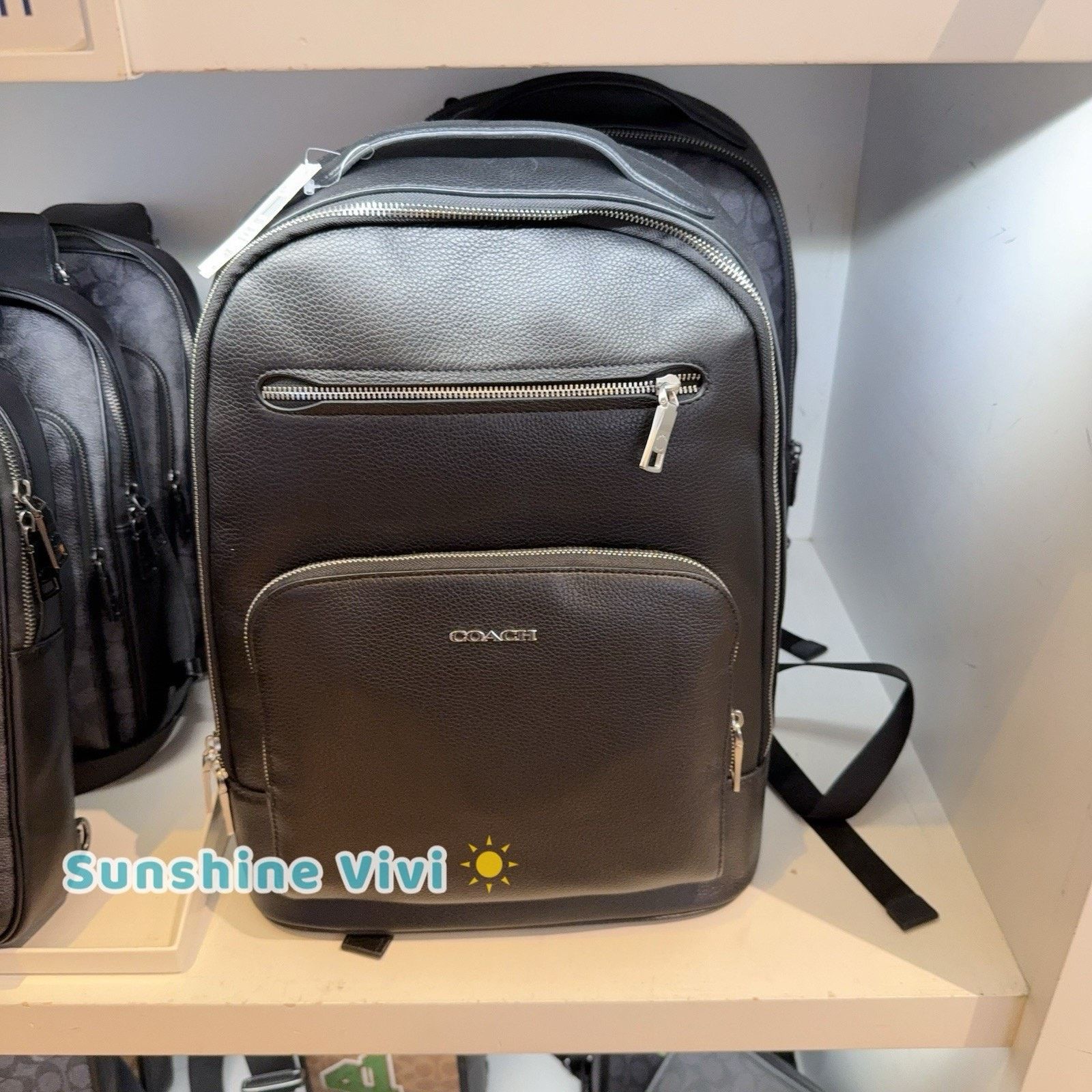 NWT Coach Men’s Ethan Backpack Leather CZ391 Gunmetal/Black