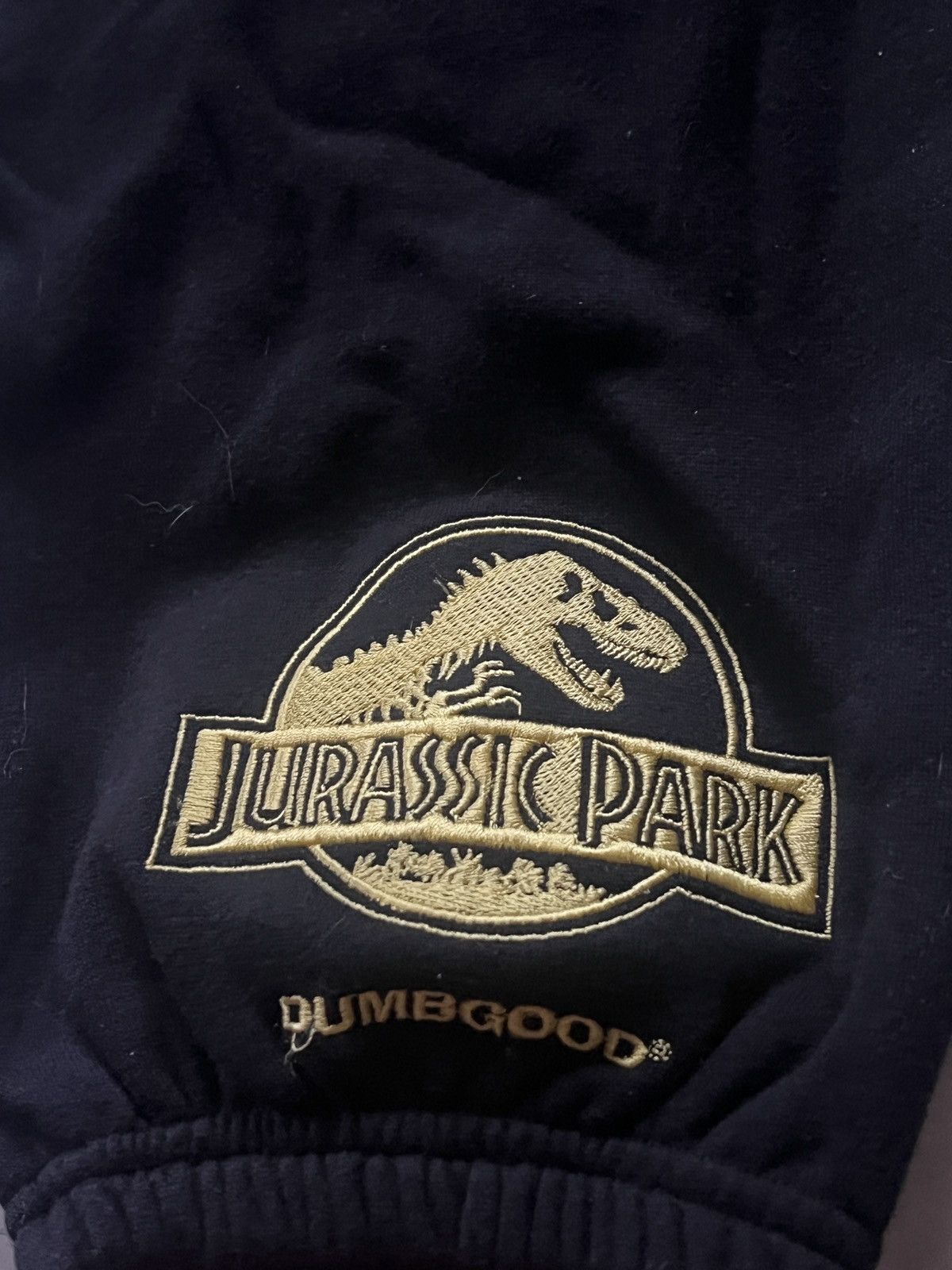 Other Jurassic Park Tracksuit Size US 34 / EU 50 - 4 Thumbnail