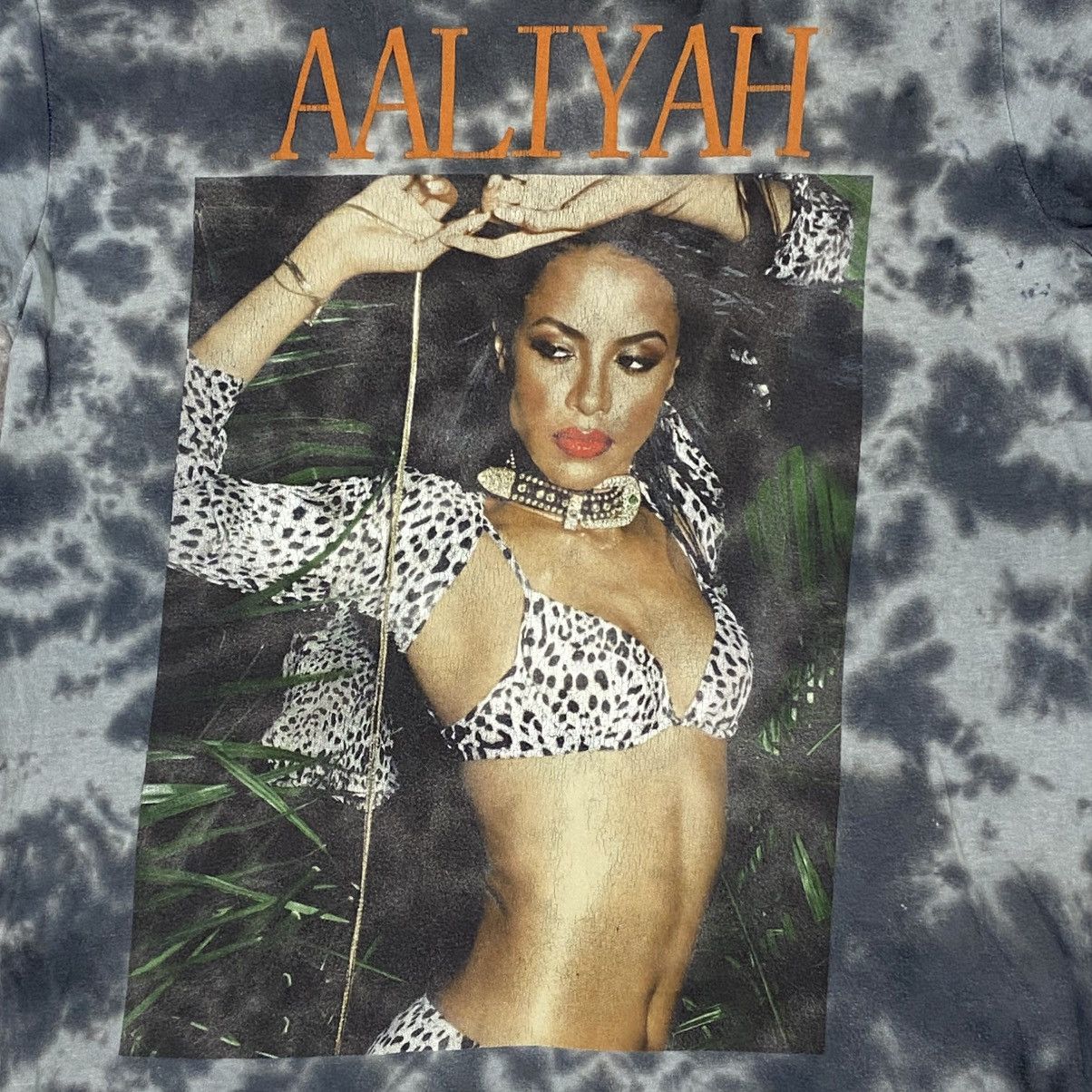 Rap Tees Aaliyah raptee band Size US M / EU 48-50 / 2 - 2 Thumbnail