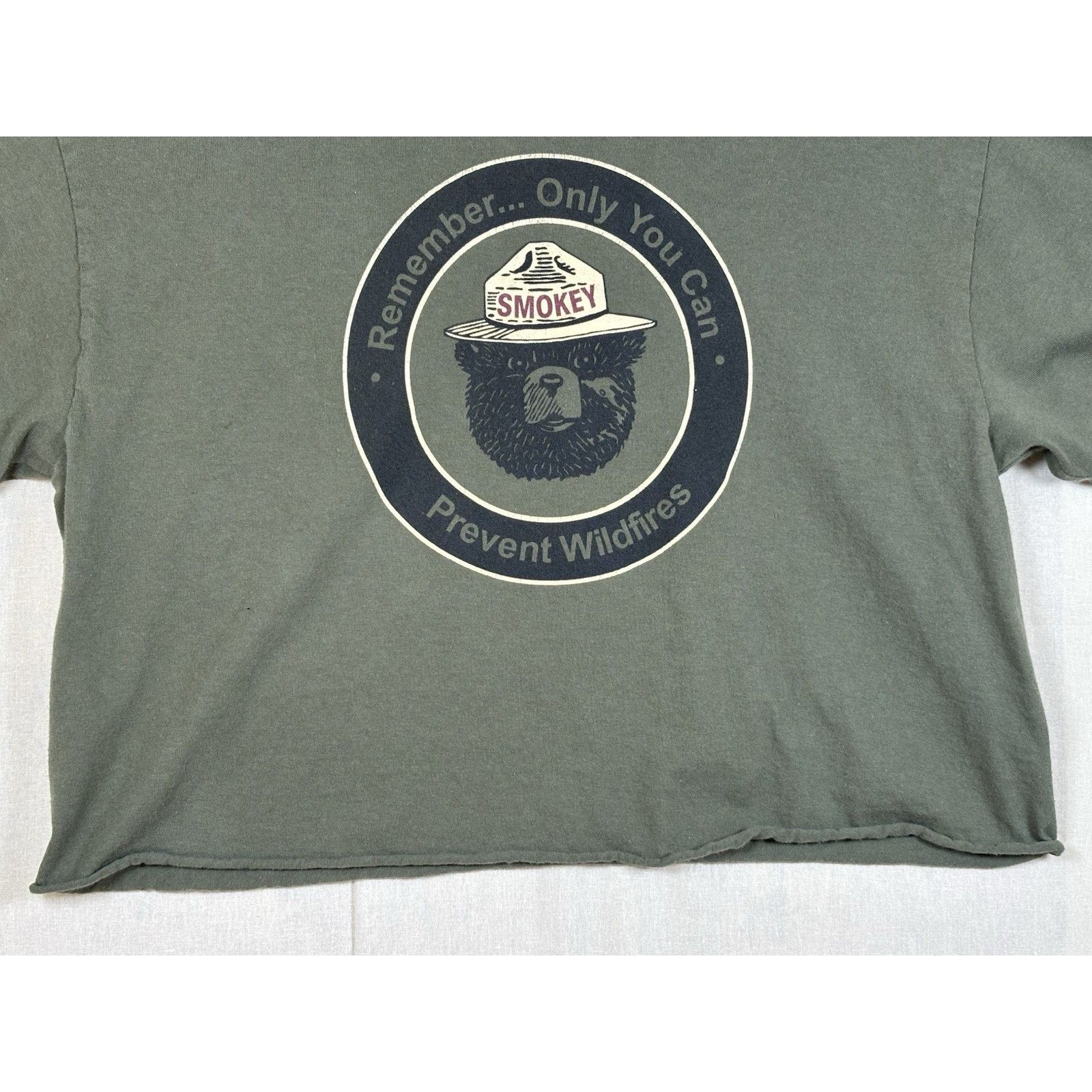 The Unbranded Brand Smokey The Bear Prevent Forest Wildfire Cropped T-Shirt LG Size US L / EU 52-54 / 3 - 10 Thumbnail