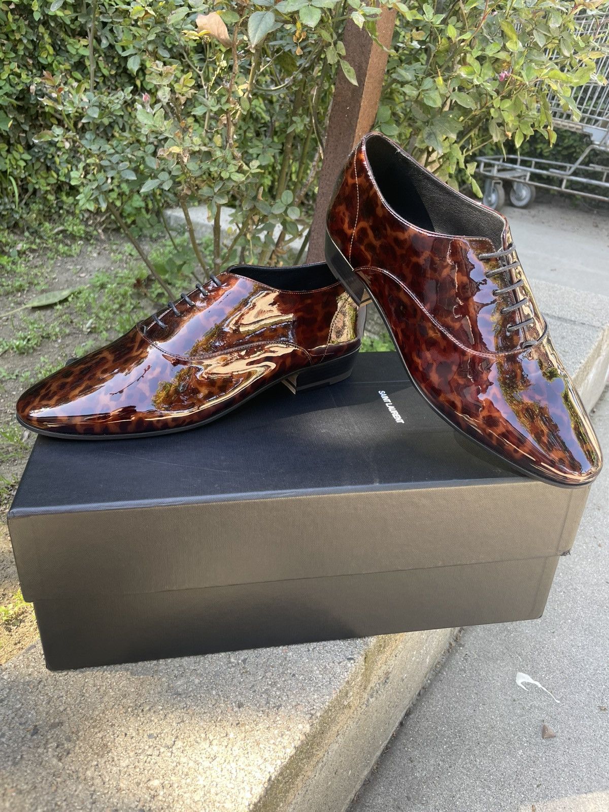 Saint Laurent Paris SLP Runway Patent Leather Lace Up Oxford Shoes Tortoise Size US 8 / EU 41 - 2 Thumbnail