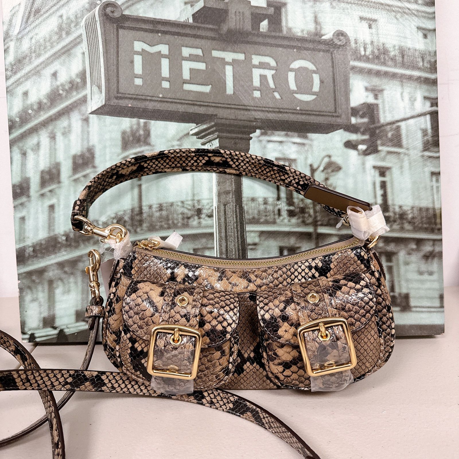 Coach Coach CCE38 Ashton Bag With Snake Print IN Mushroom Multi | Grailed