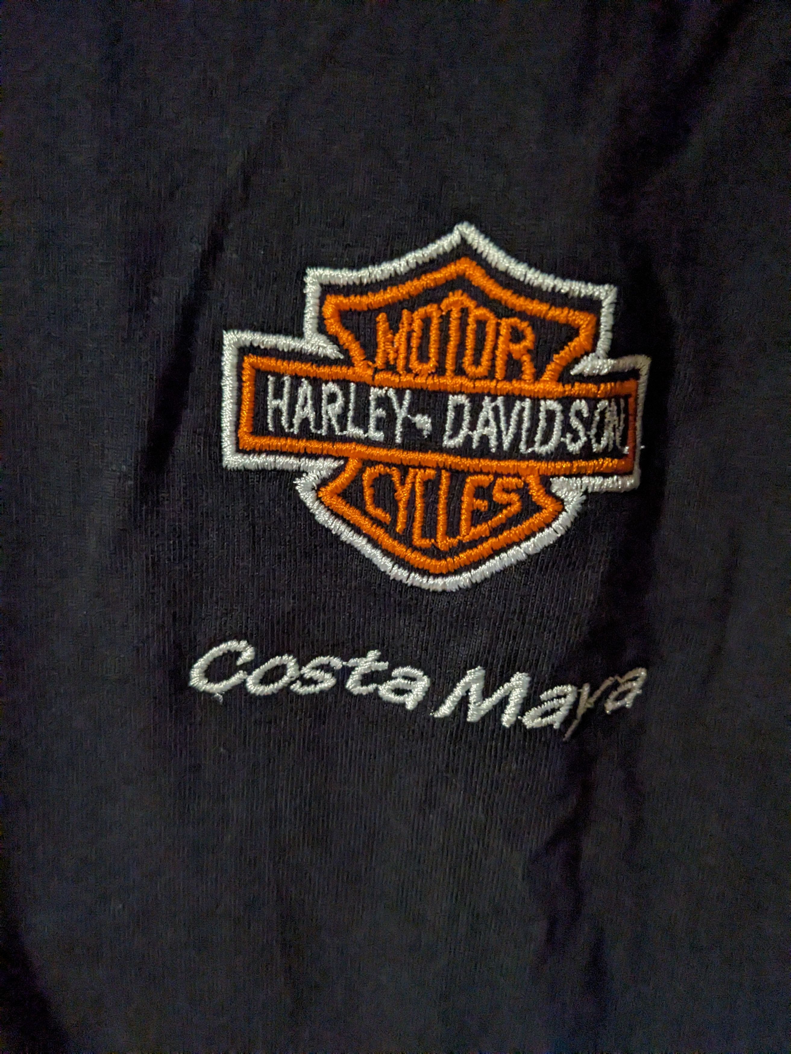 Harley Davidson × Vintage Vintage Y2K Harley Davidson Motorcycle Logo Costa T-Shirt Size US L / EU 52-54 / 3 - 4 Thumbnail