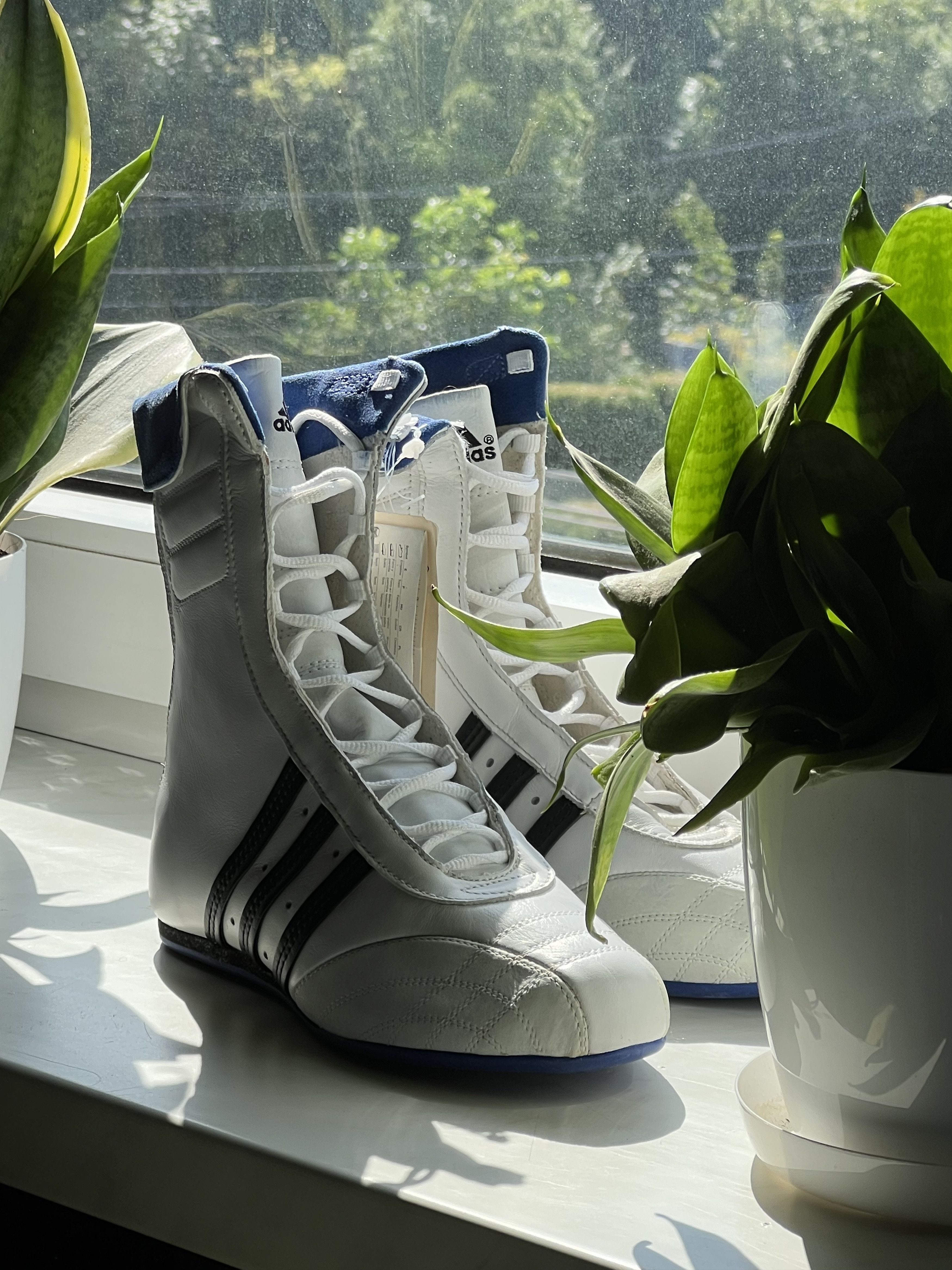 adidas gazelle silver green womens Olivera