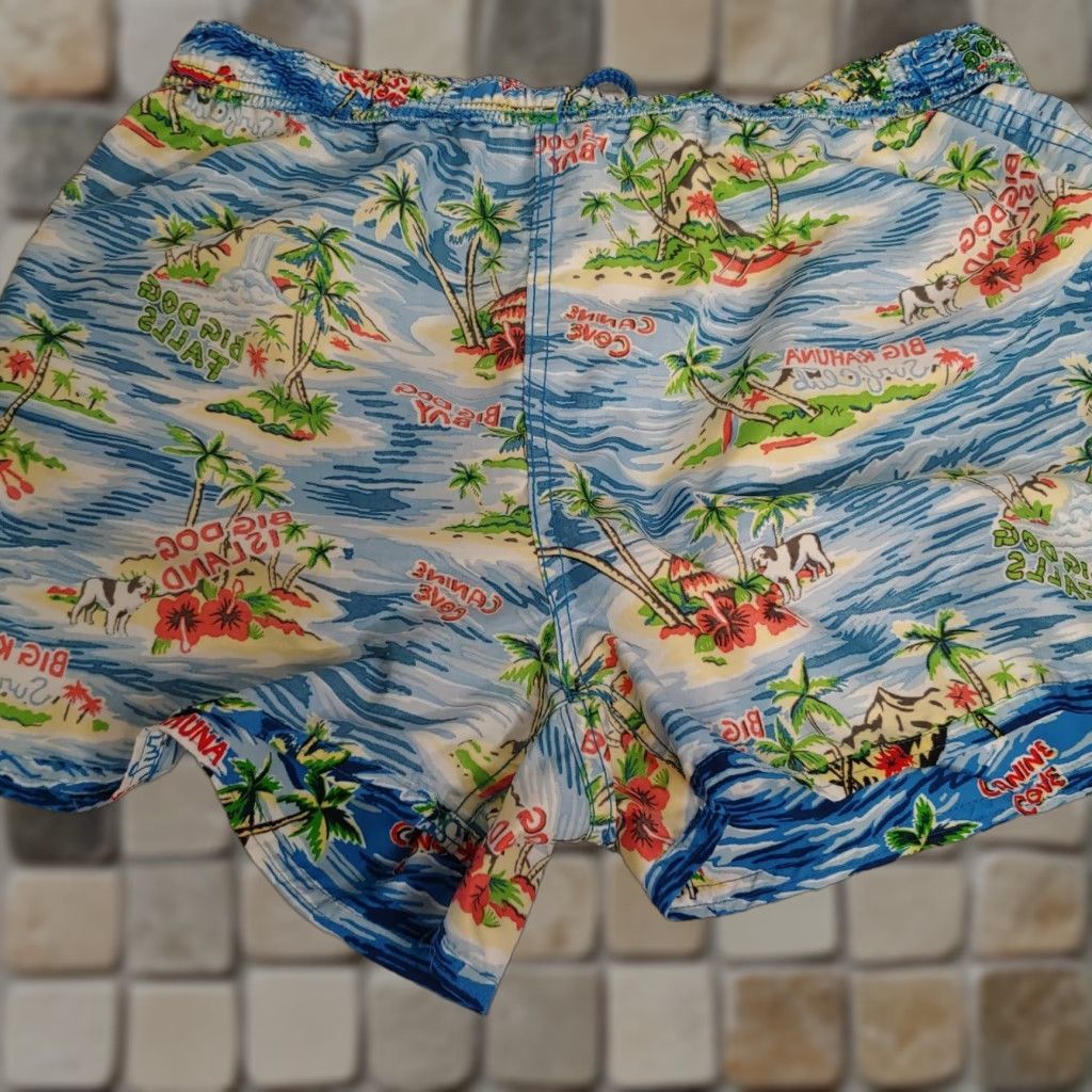 Big Dogs Big Dogs Trunks Mens XL Shorts Print Tropical Island Big Kahuna Beach Size US 36 / EU 52 - 1 Thumbnail